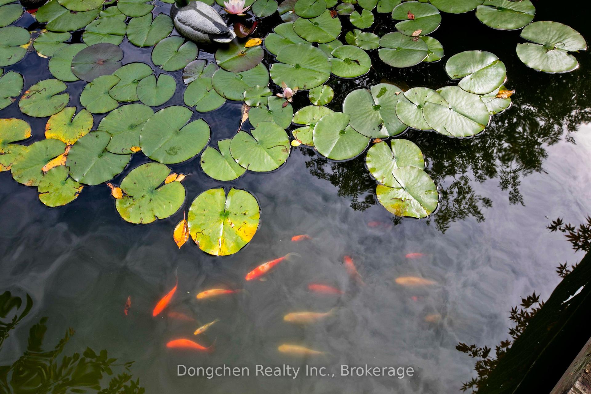 Photo 7 of 603 Park Cres E, Pickering, West Shore — HOMEH