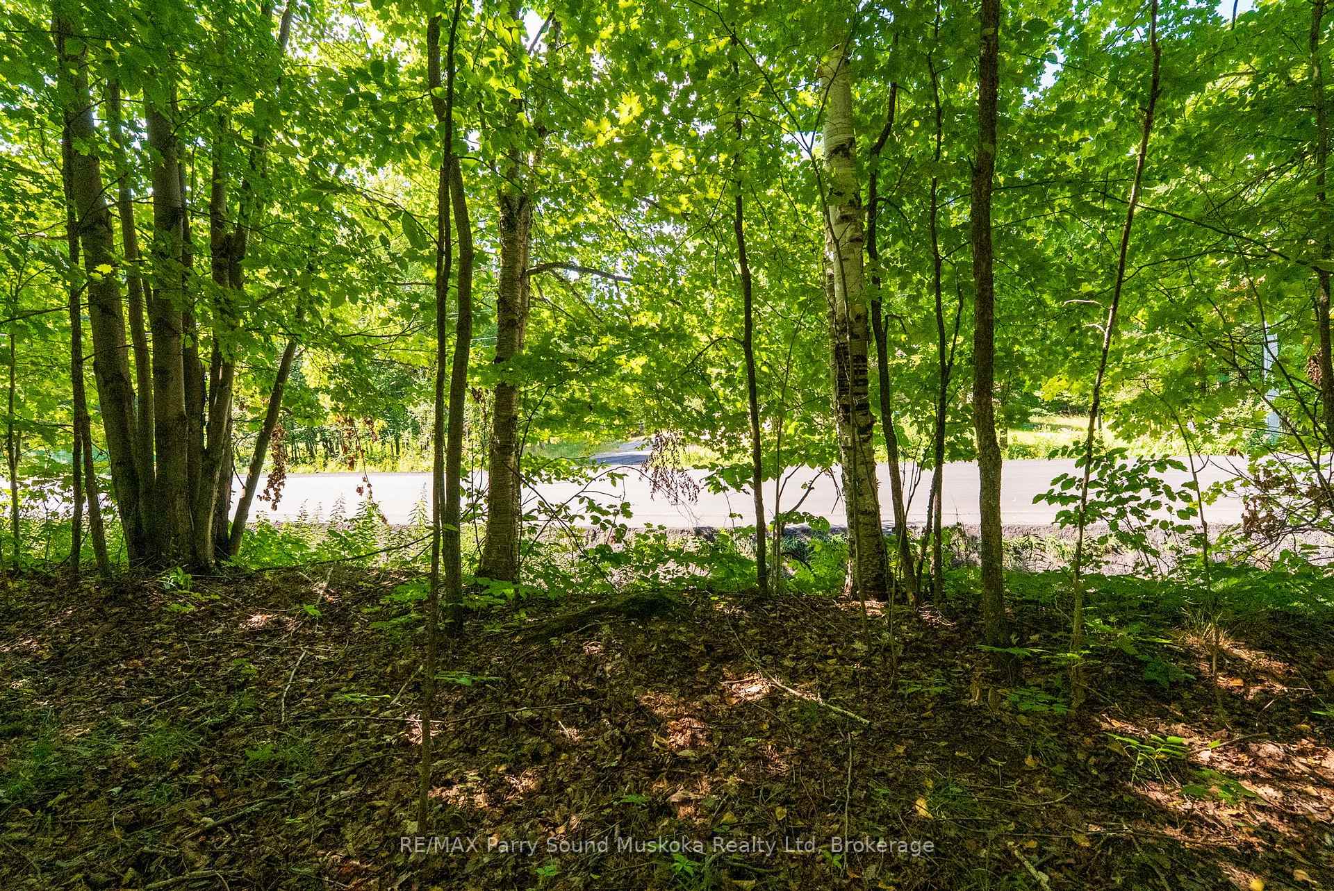 Photo 11 of 4 Mountain Basin Drive, McDougall — HOMEH