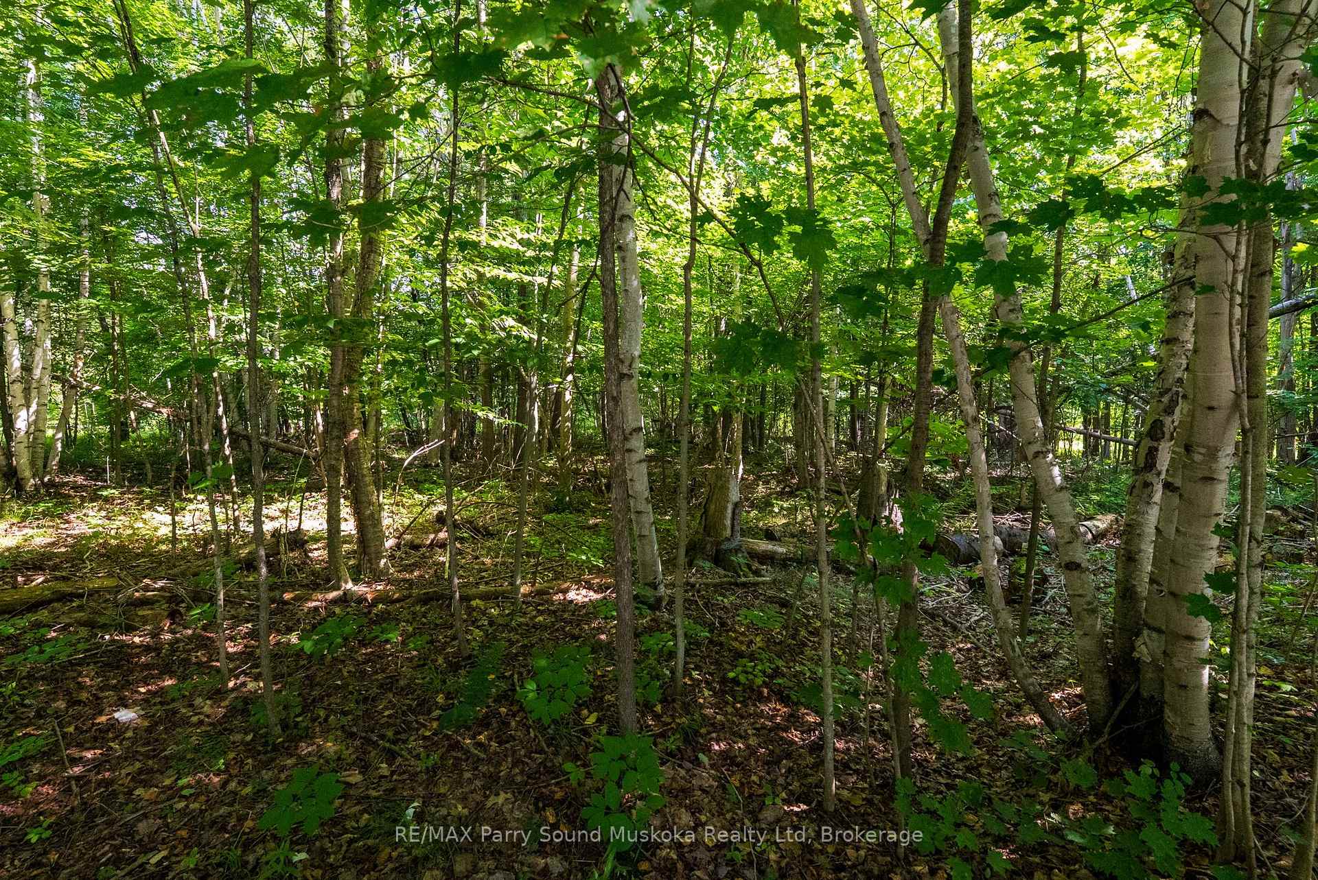 Photo 13 of 4 Mountain Basin Drive, McDougall — HOMEH