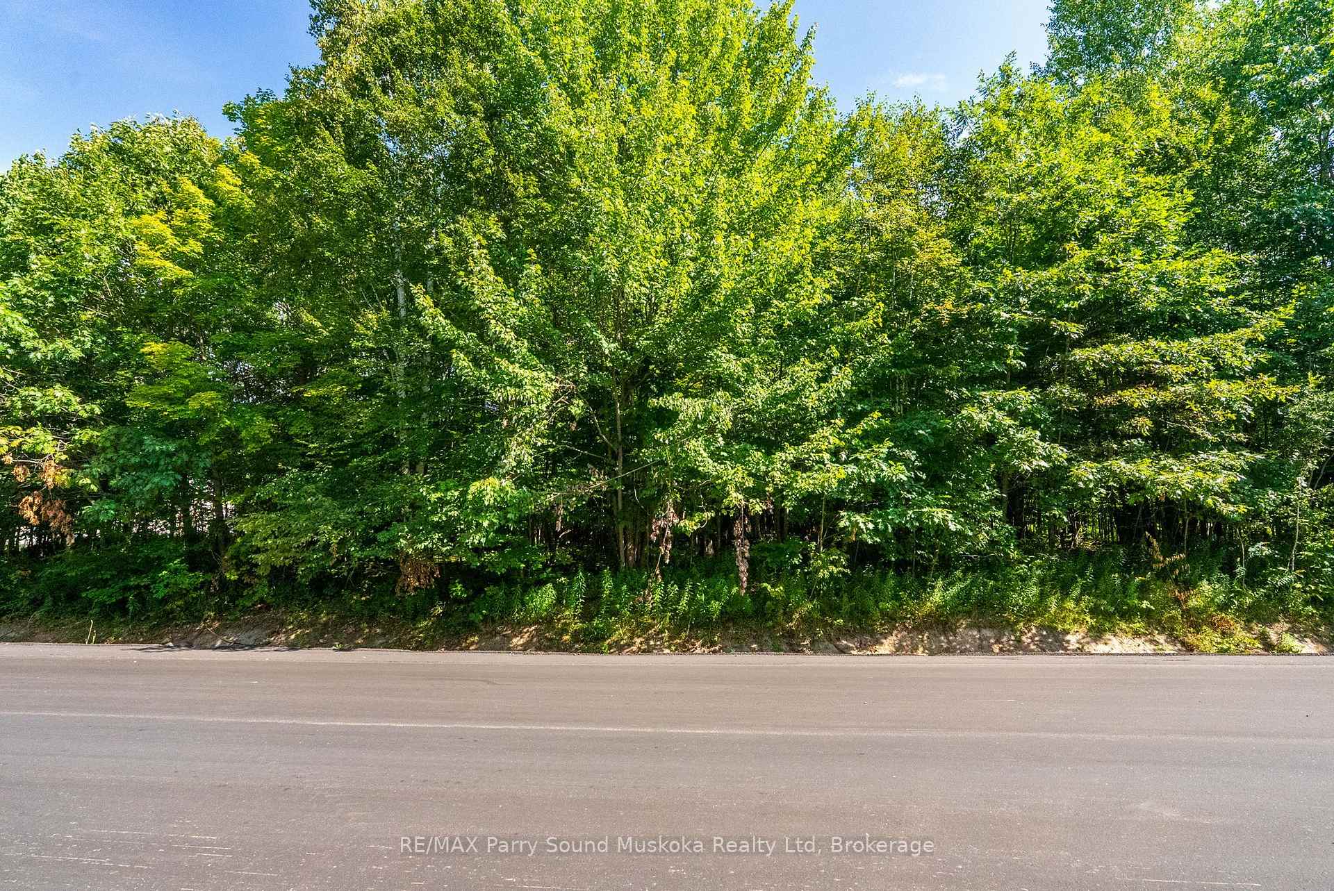 Photo 16 of 4 Mountain Basin Drive, McDougall — HOMEH