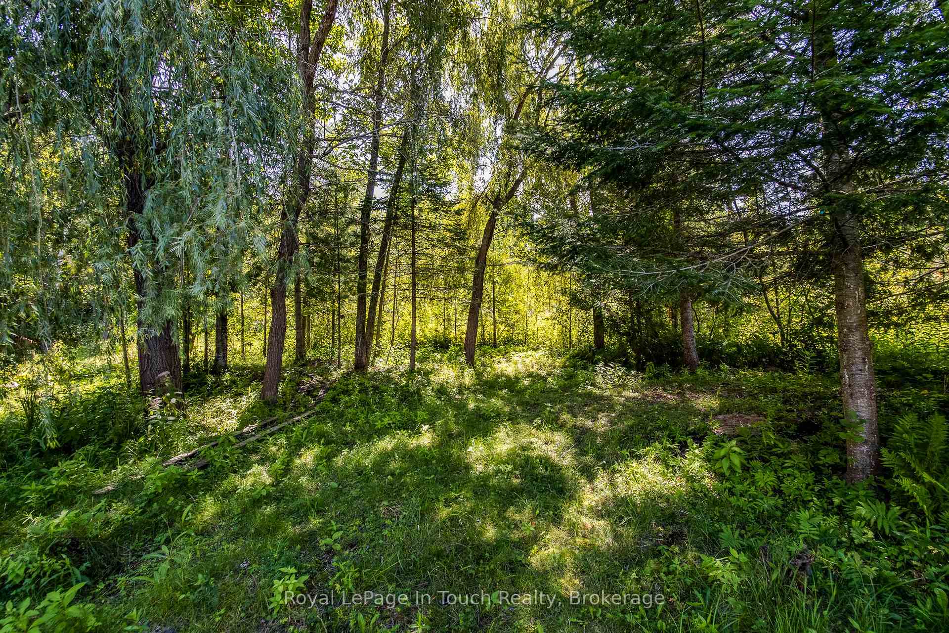 Photo 7 of 33 Grandview Road, Tay, Rural Tay — HOMEH