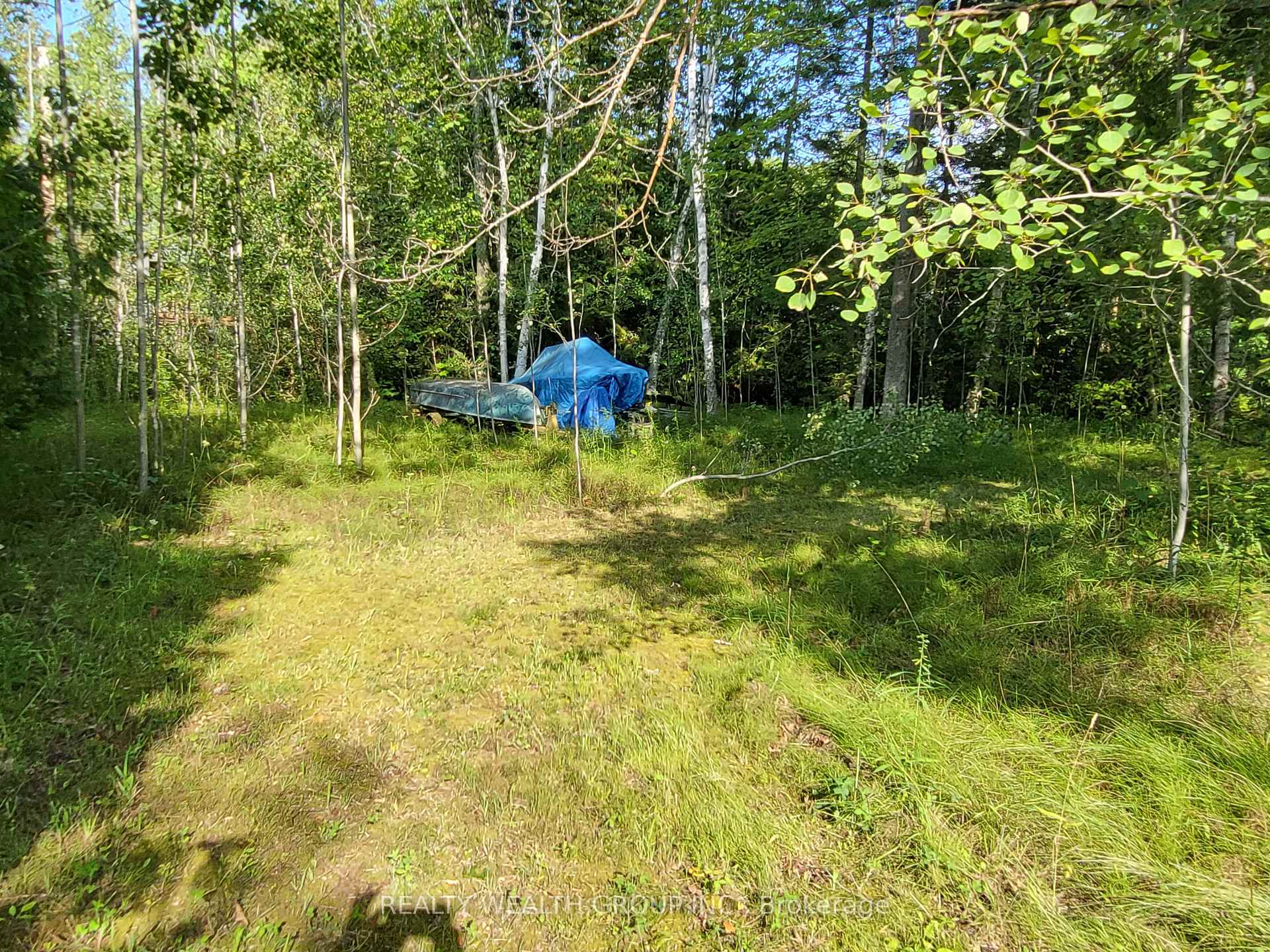 Photo 7 of LT 50 Cedar Grove Drive, Tiny, Rural Tiny — HOMEH