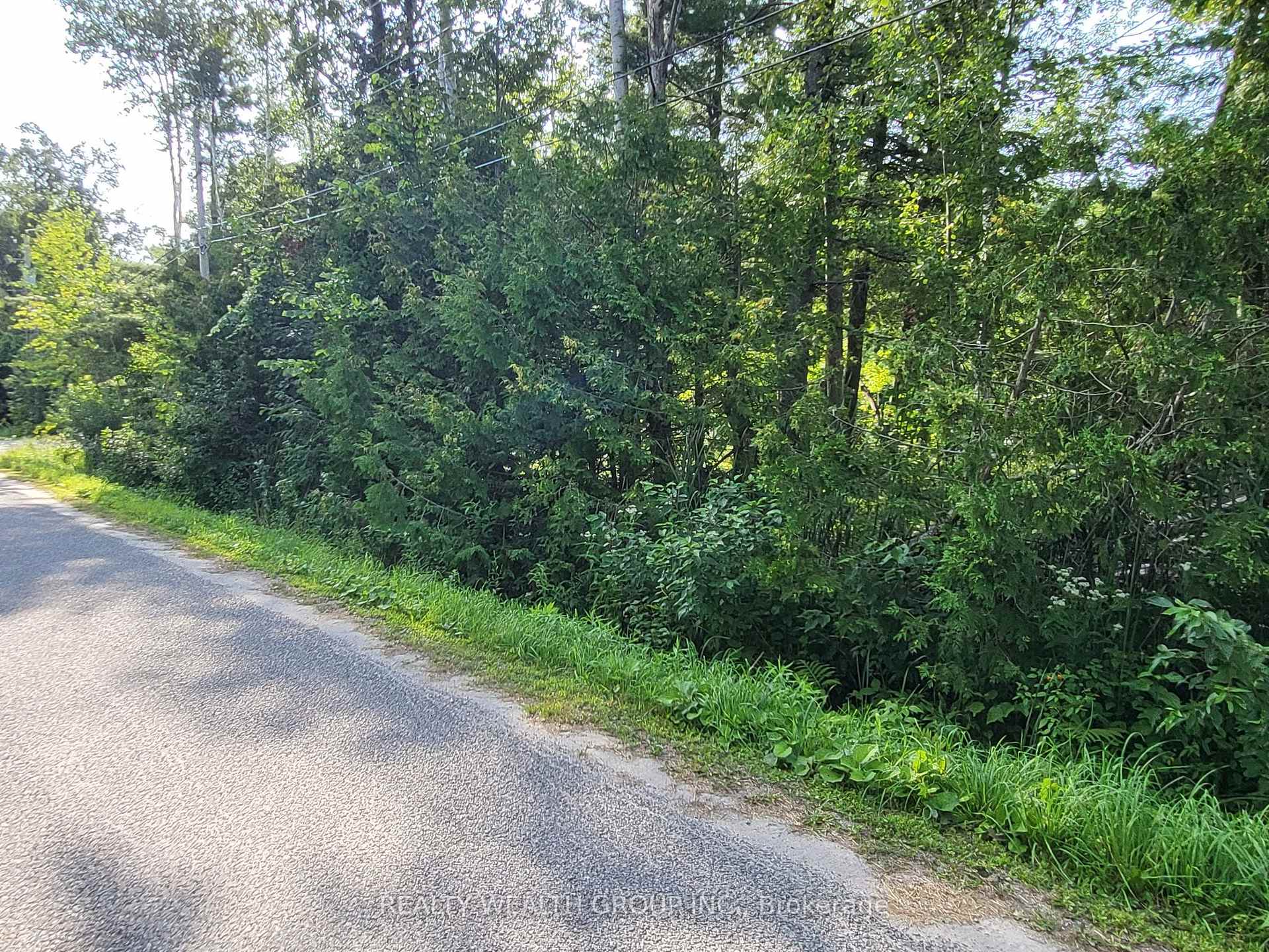 Photo 13 of LT 50 Cedar Grove Drive, Tiny, Rural Tiny — HOMEH