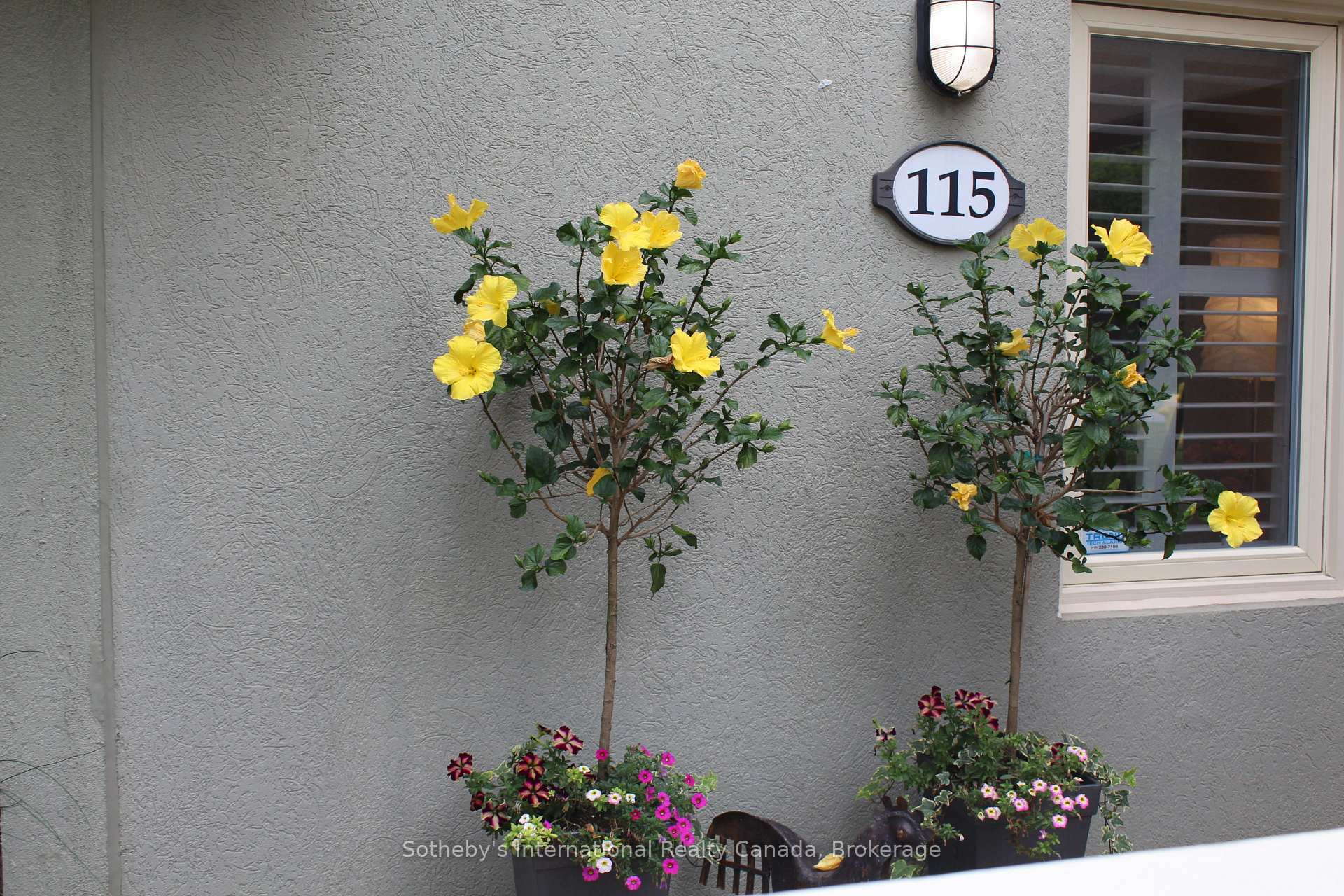 Photo 3 of Unit 115, 107 Wintergreen Place, Blue Mountains — HOMEH