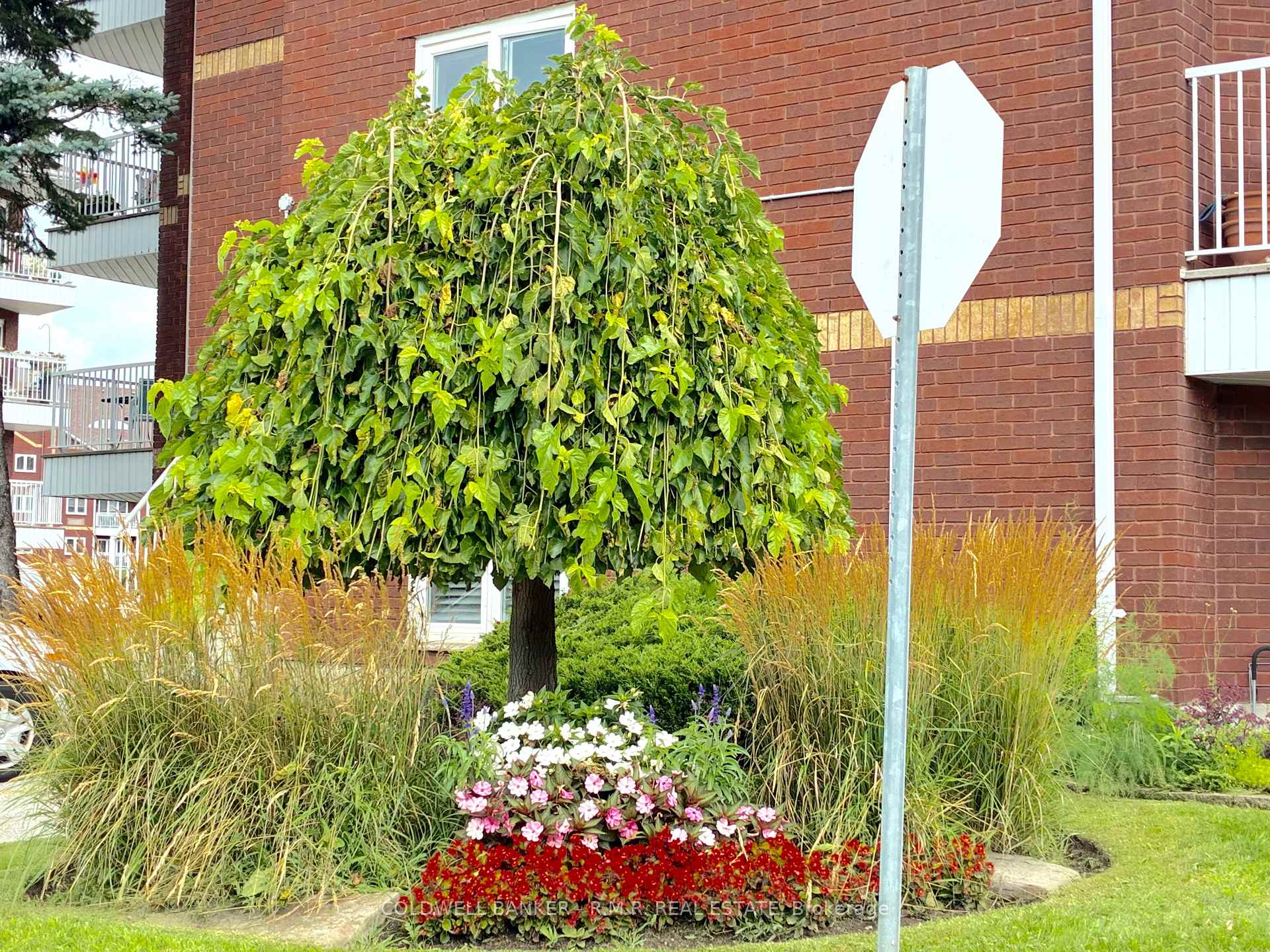 Photo 41 of Unit 403, 189 Lake Driveway West, Ajax, South West — HOMEH
