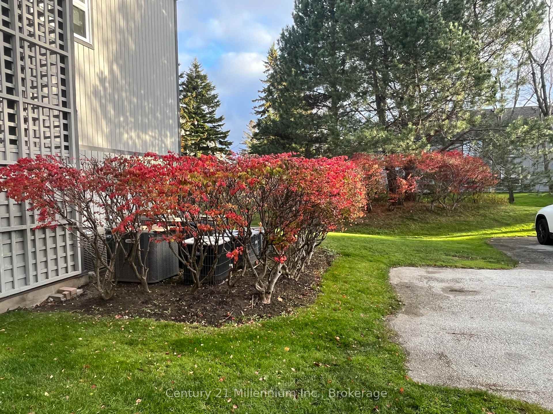 Photo 14 of 706 Johnston Park Avenue, Collingwood — HOMEH