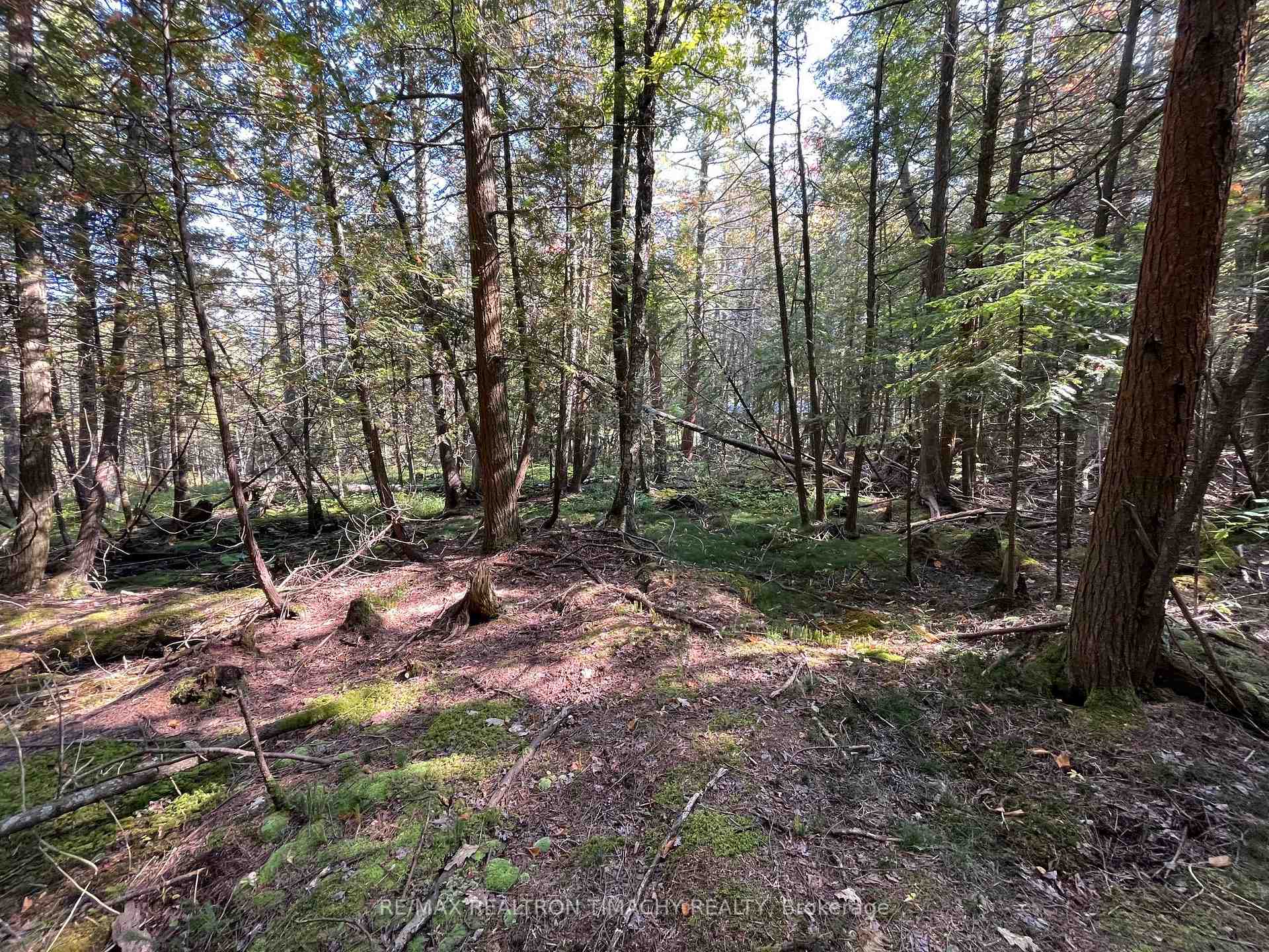 Photo of Lot 25 Champlain Road