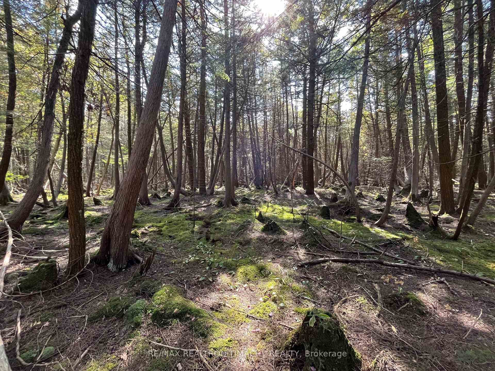Photo 2 of Lot 25 Champlain Road, Tiny, Rural Tiny — HOMEH