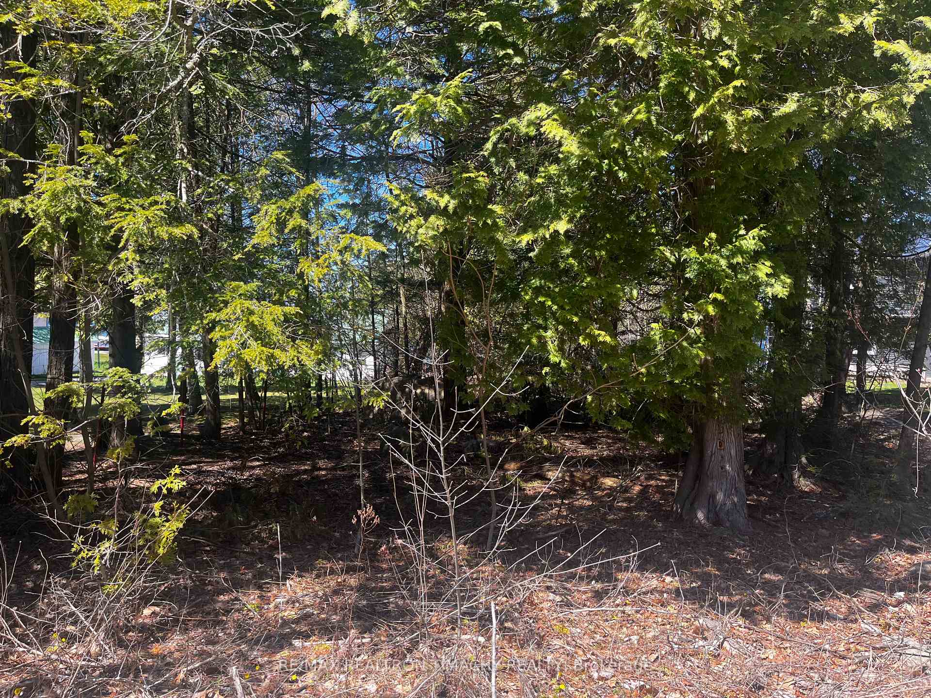 Photo 12 of Lot 25 Champlain Road, Tiny, Rural Tiny — HOMEH