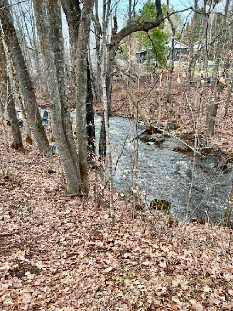 Photo 33 of 3396 B Line Road, Laurentian Valley, Laurentian Valley — HOMEH