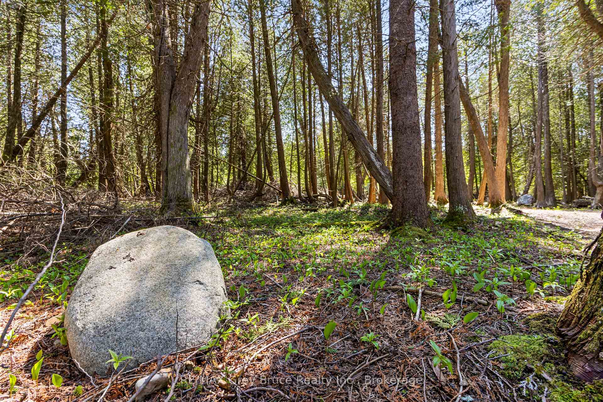 Photo 15 of 228 Corey Crescent, Northern Bruce Peninsula — HOMEH