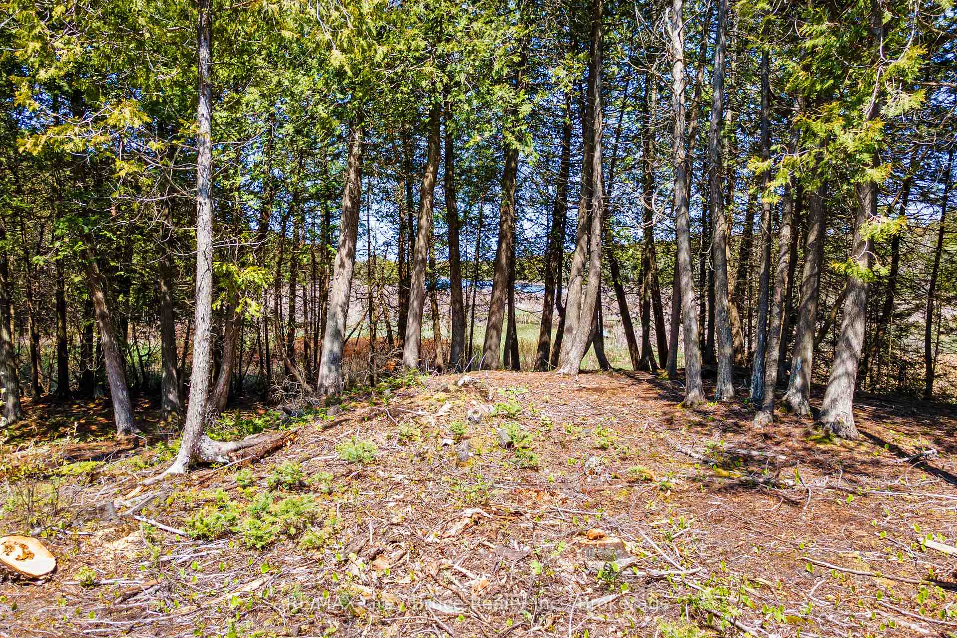 Photo 18 of 228 Corey Crescent, Northern Bruce Peninsula — HOMEH