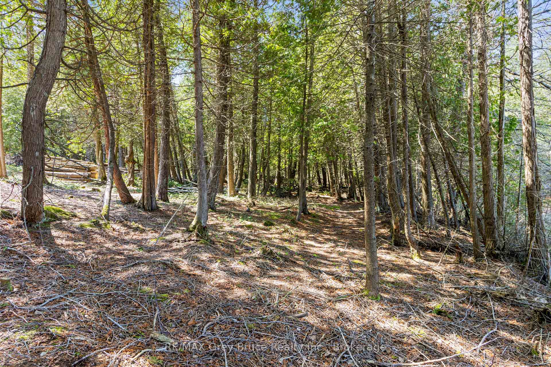Photo 24 of 228 Corey Crescent, Northern Bruce Peninsula — HOMEH