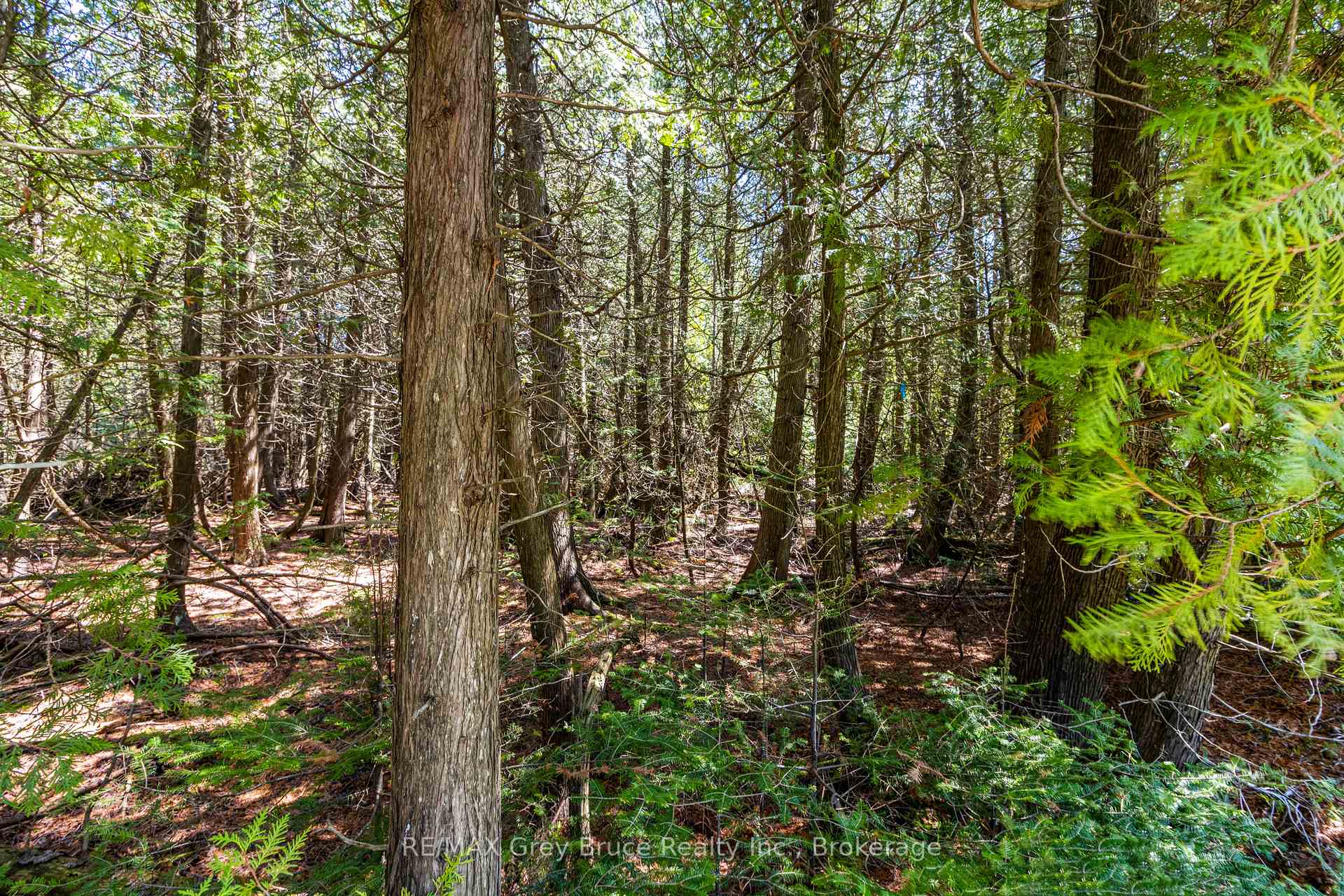 Photo 25 of 228 Corey Crescent, Northern Bruce Peninsula — HOMEH