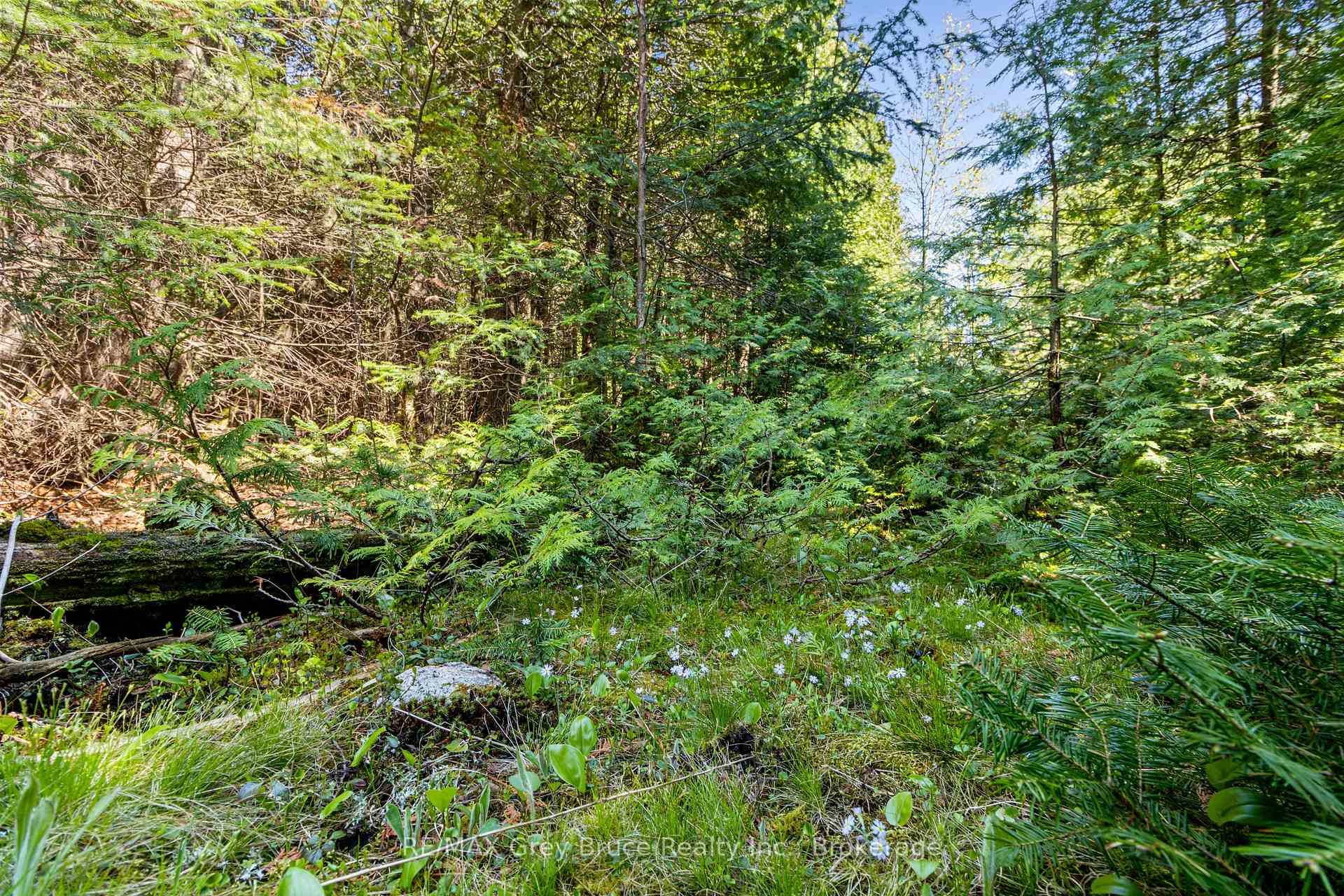 Photo 28 of 228 Corey Crescent, Northern Bruce Peninsula — HOMEH