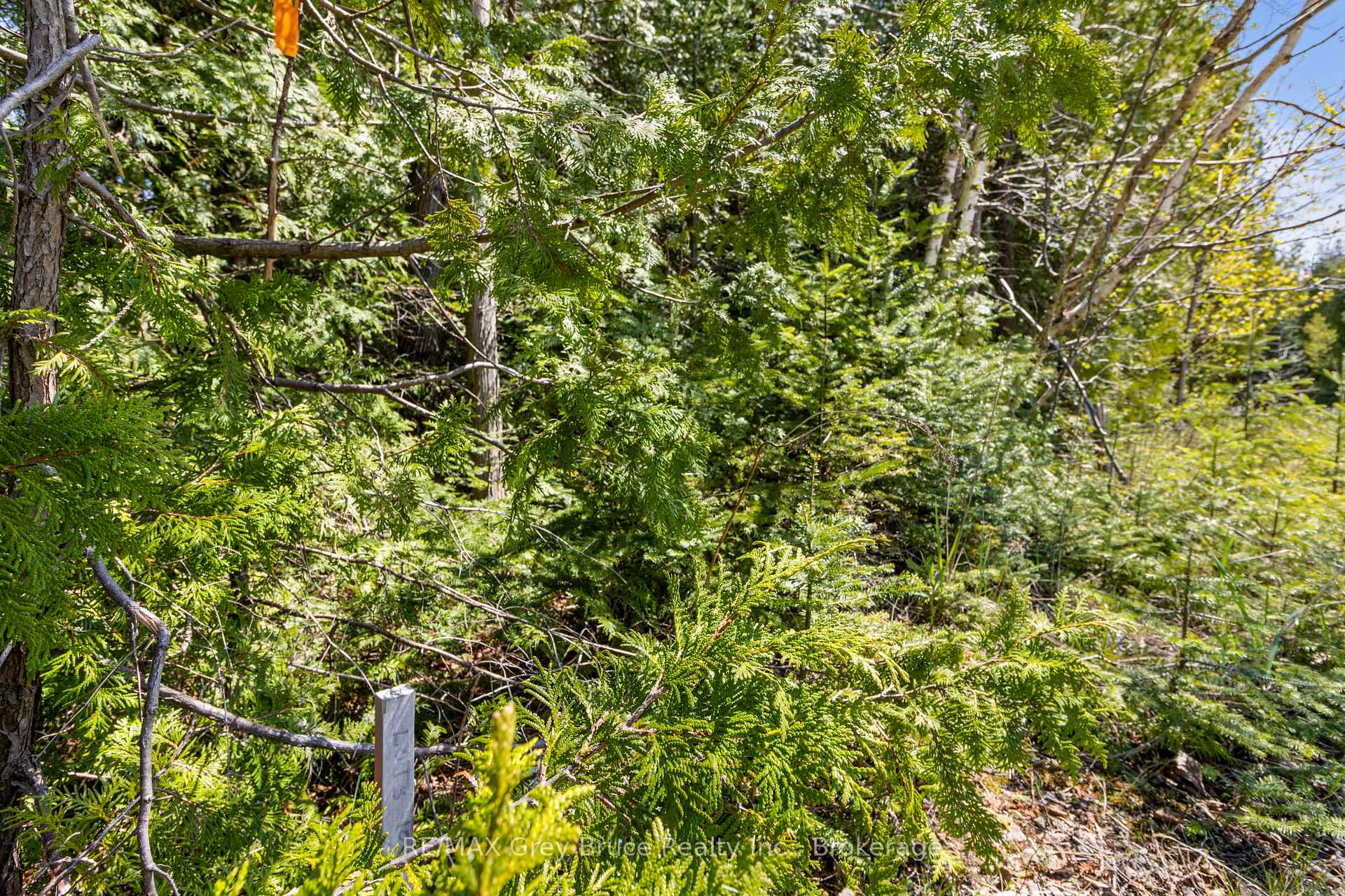 Photo 33 of 228 Corey Crescent, Northern Bruce Peninsula — HOMEH