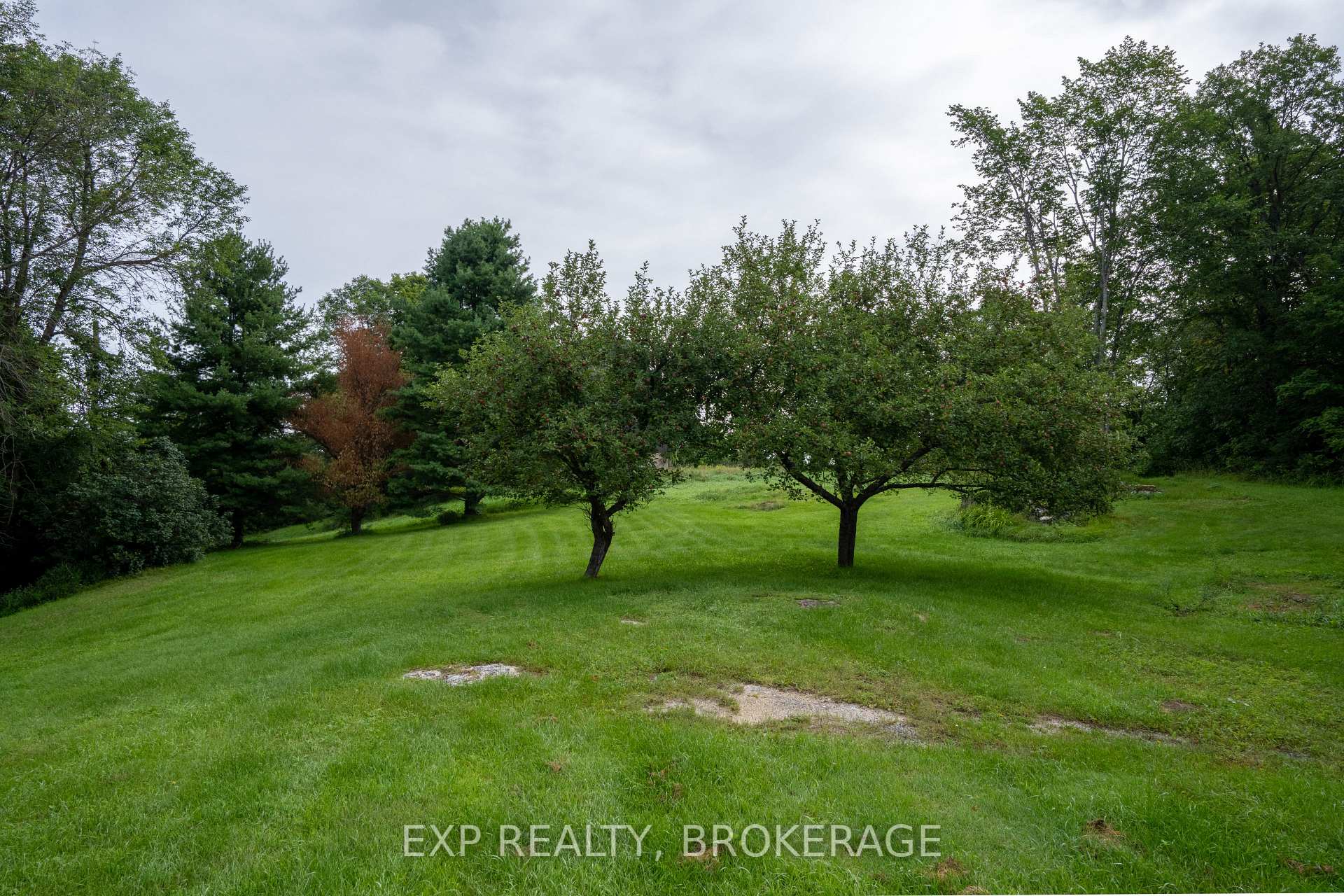 Photo 5 of 279 Munro Road, Tay Valley, Bathurst/Burgess & Sherbrooke (South Sherbrooke) Twp — HOMEH