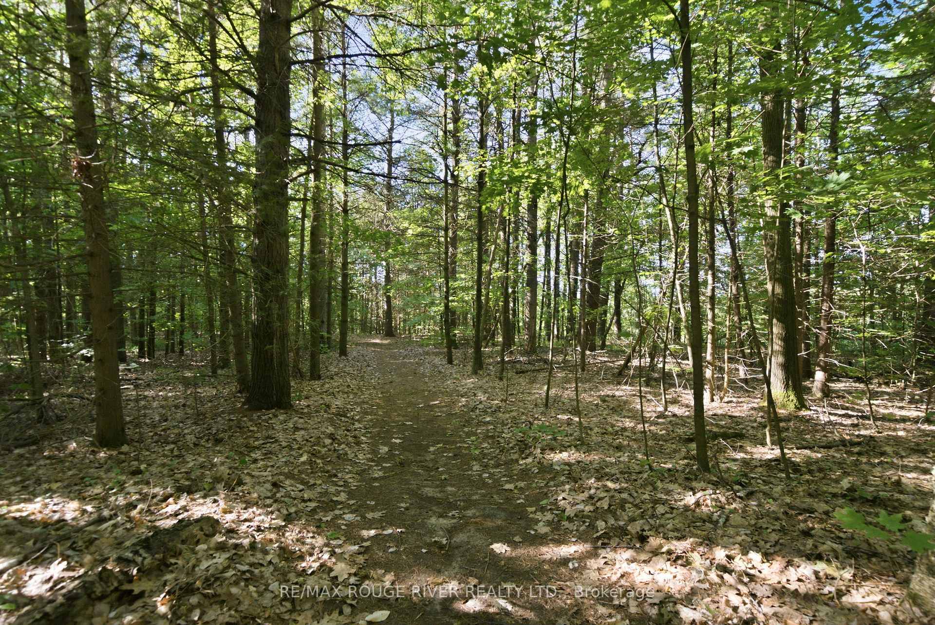 Photo 42 of 9866 Ellis Road, Hamilton Township, Rural Hamilton — HOMEH