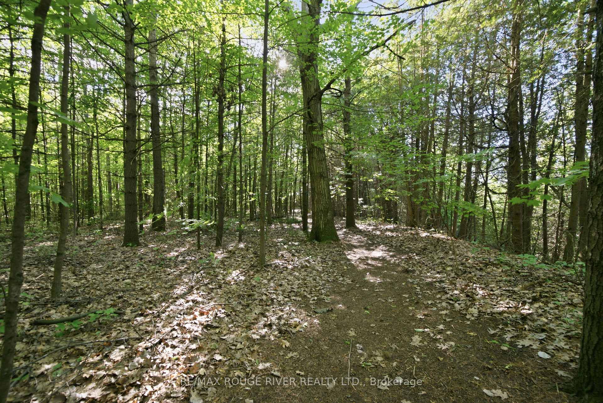 Photo 43 of 9866 Ellis Road, Hamilton Township, Rural Hamilton — HOMEH