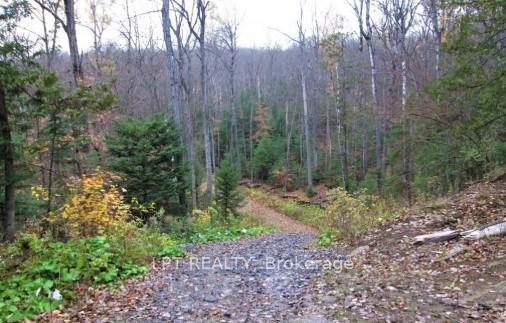 Photo 3 of 1827 Hybla Road, Hastings Highlands, Monteagle Ward — HOMEH