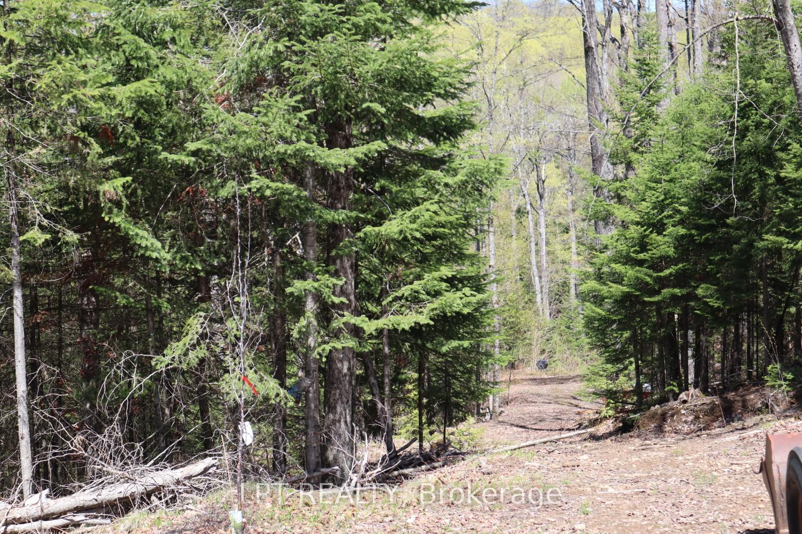 Photo 9 of 1827 Hybla Road, Hastings Highlands, Monteagle Ward — HOMEH