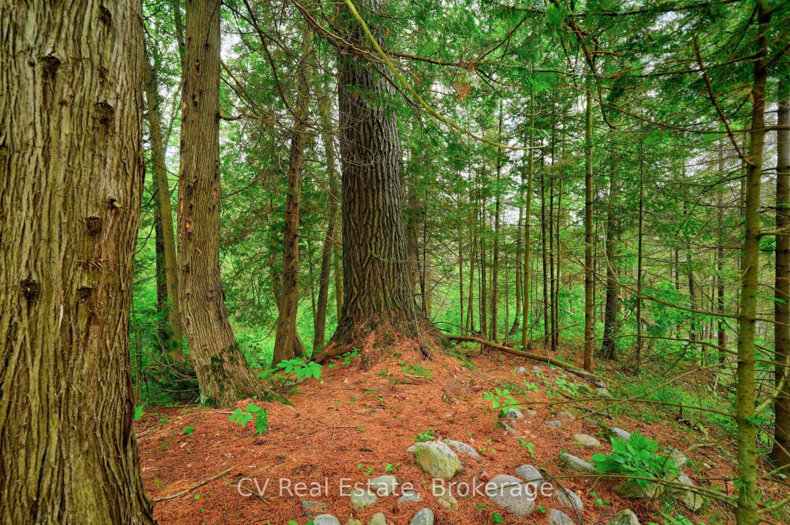 Photo 33 of 625 Chetwynd Road, Armour — HOMEH