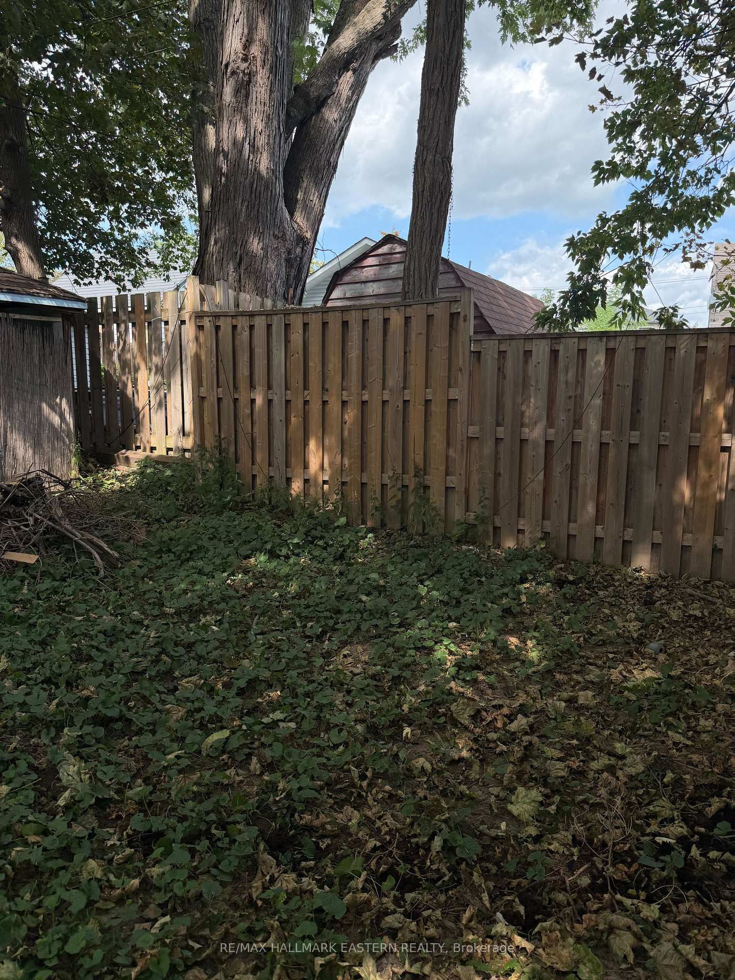 Photo 29 of 413 Bellevue Street, Peterborough, Northcrest Ward 5 — HOMEH