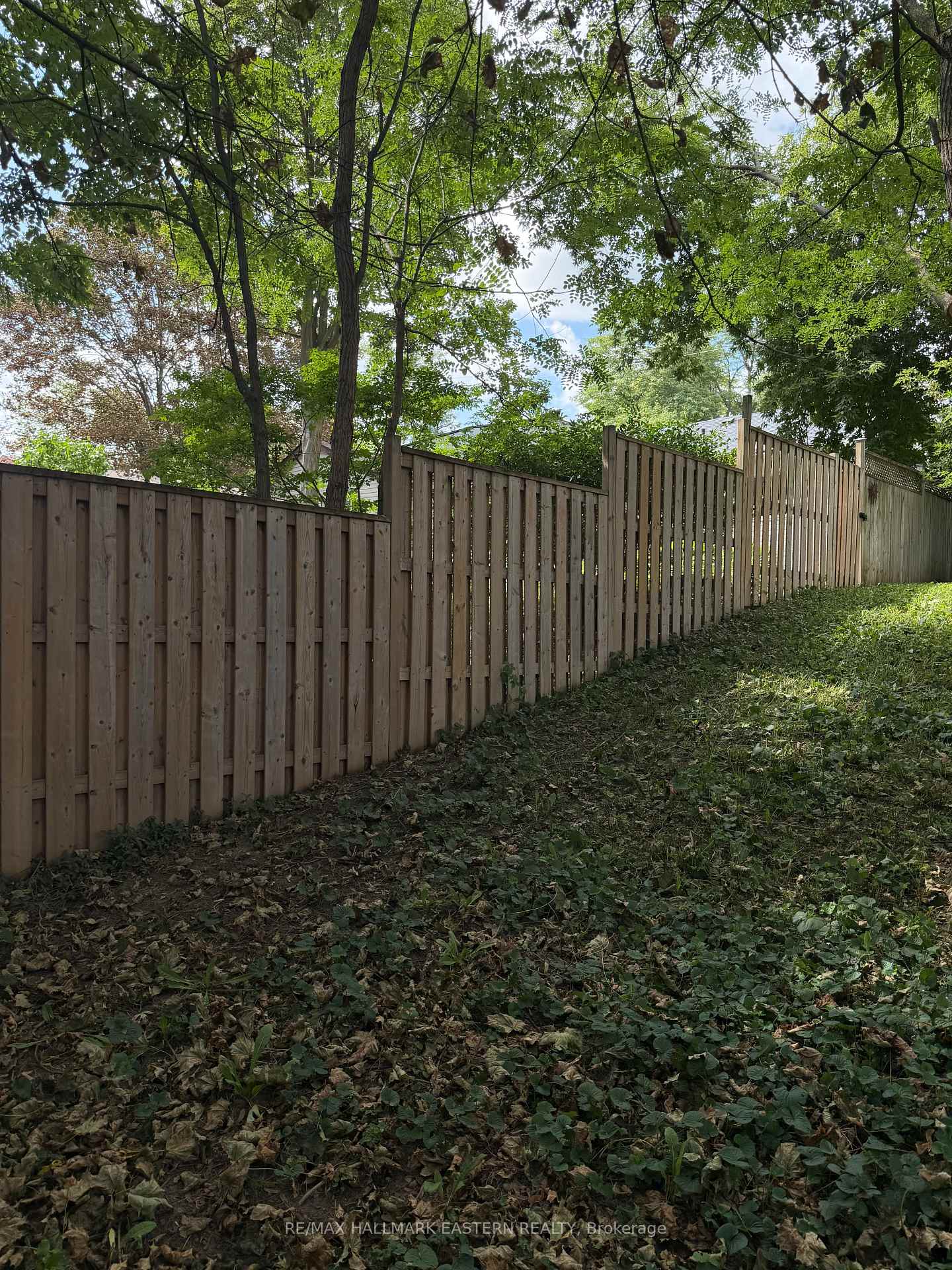Photo 30 of 413 Bellevue Street, Peterborough, Northcrest Ward 5 — HOMEH