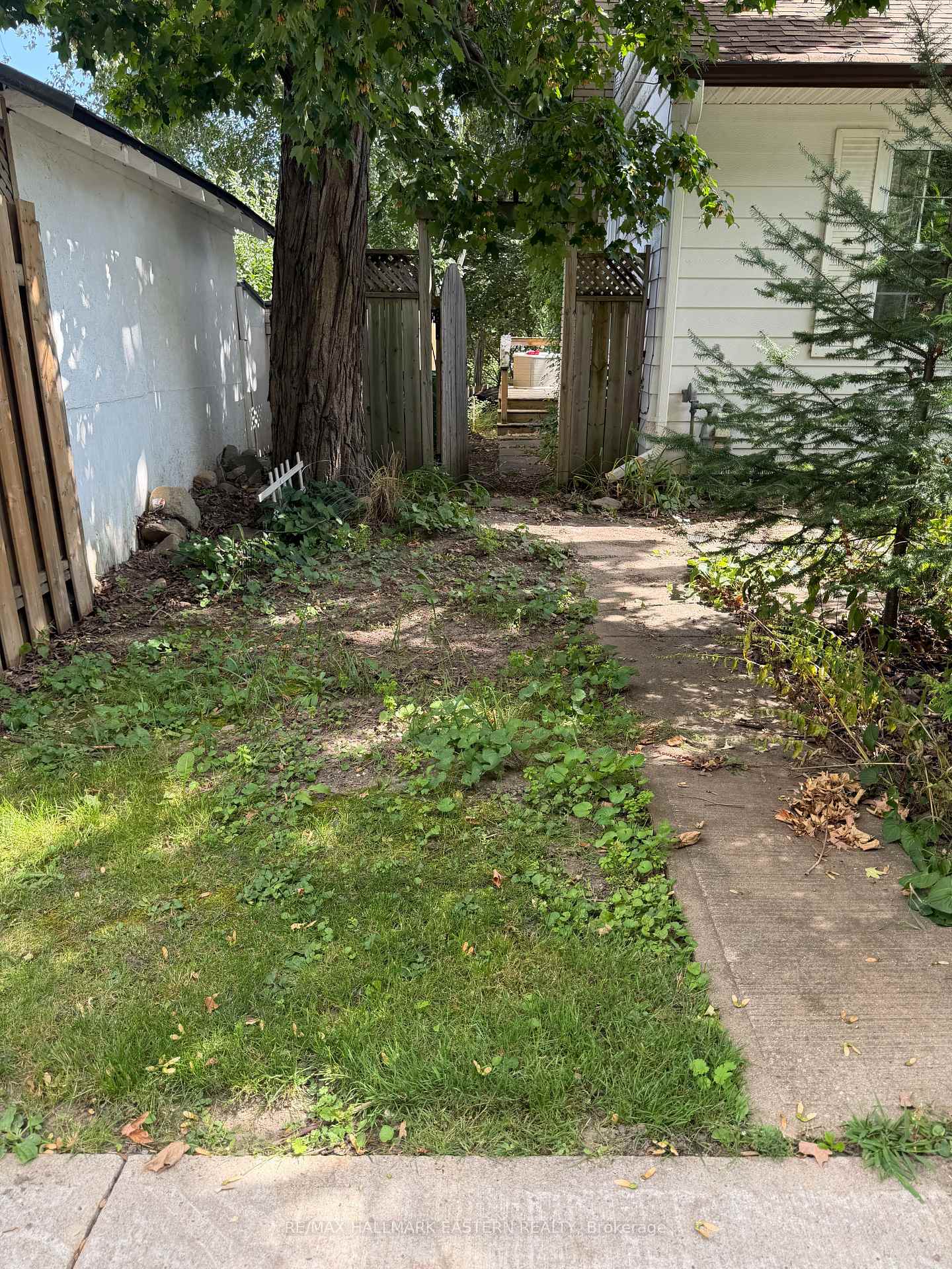 Photo 31 of 413 Bellevue Street, Peterborough, Northcrest Ward 5 — HOMEH