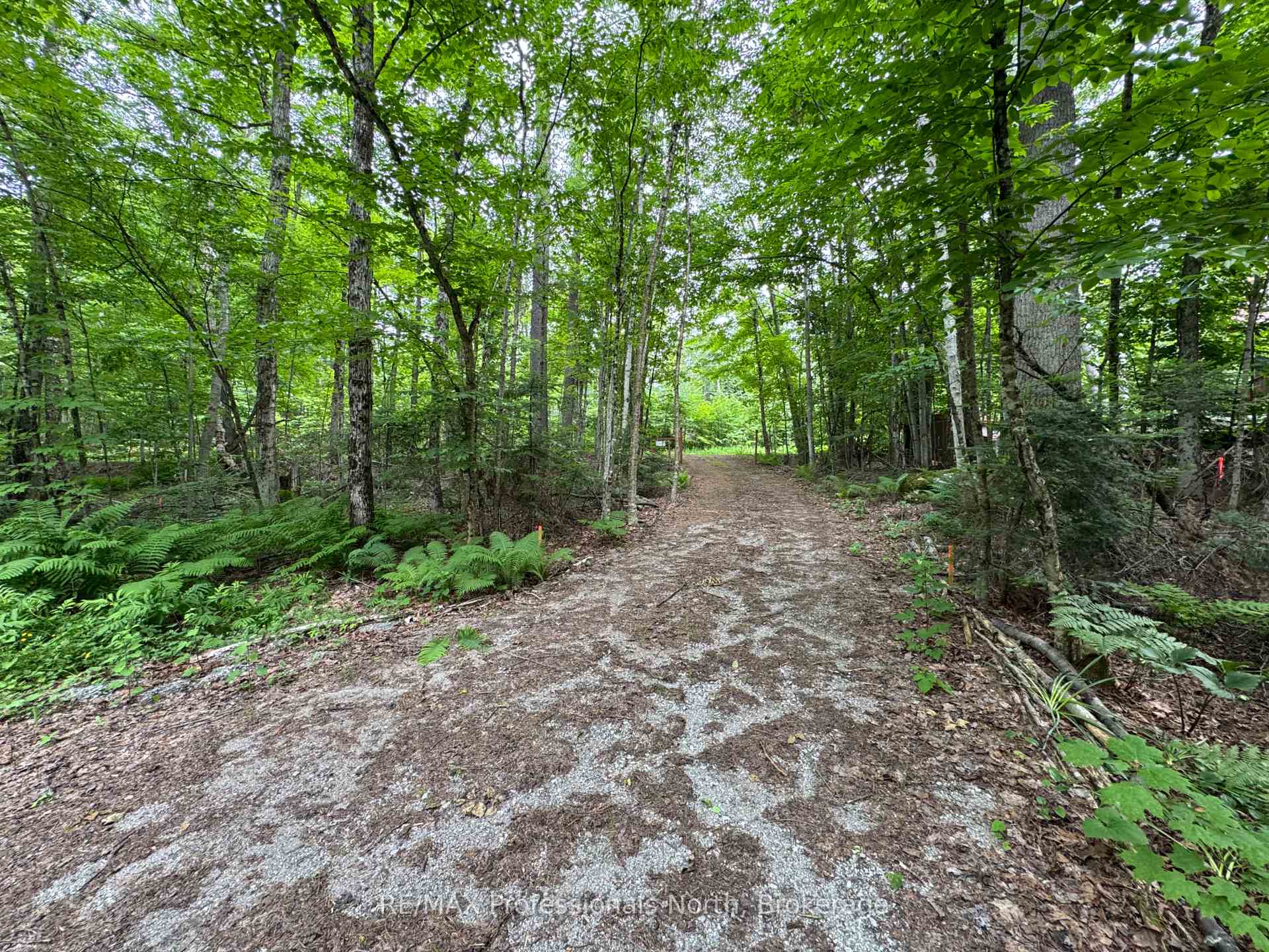 Photo 11 of 1090 River Haven Road, Bracebridge, Draper — HOMEH