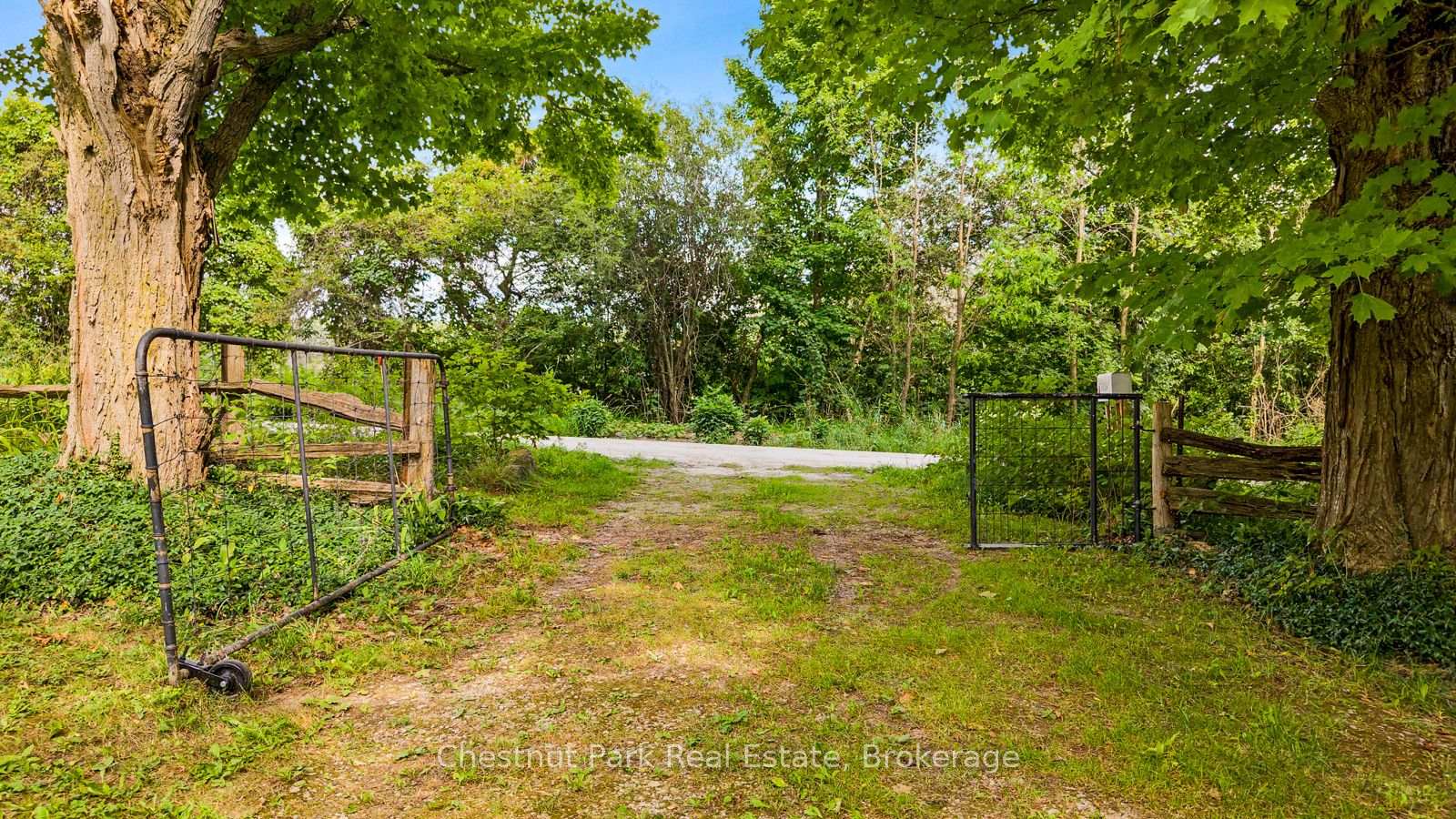 Photo 7 of 316238 3rd Line C, Grey Highlands — HOMEH
