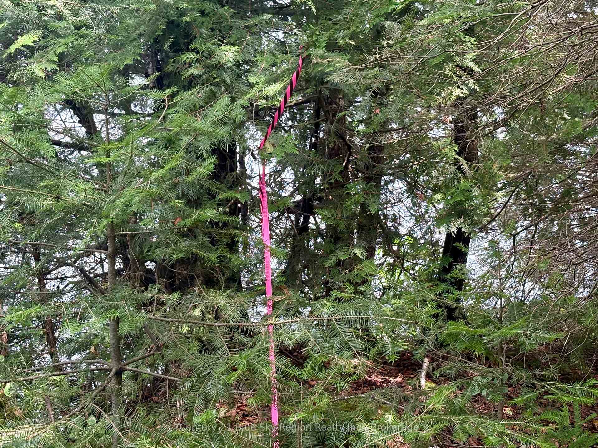 Photo 6 of PCL BLOCK C-1 Tomiko Road, West Nipissing, Crystal Falls — HOMEH