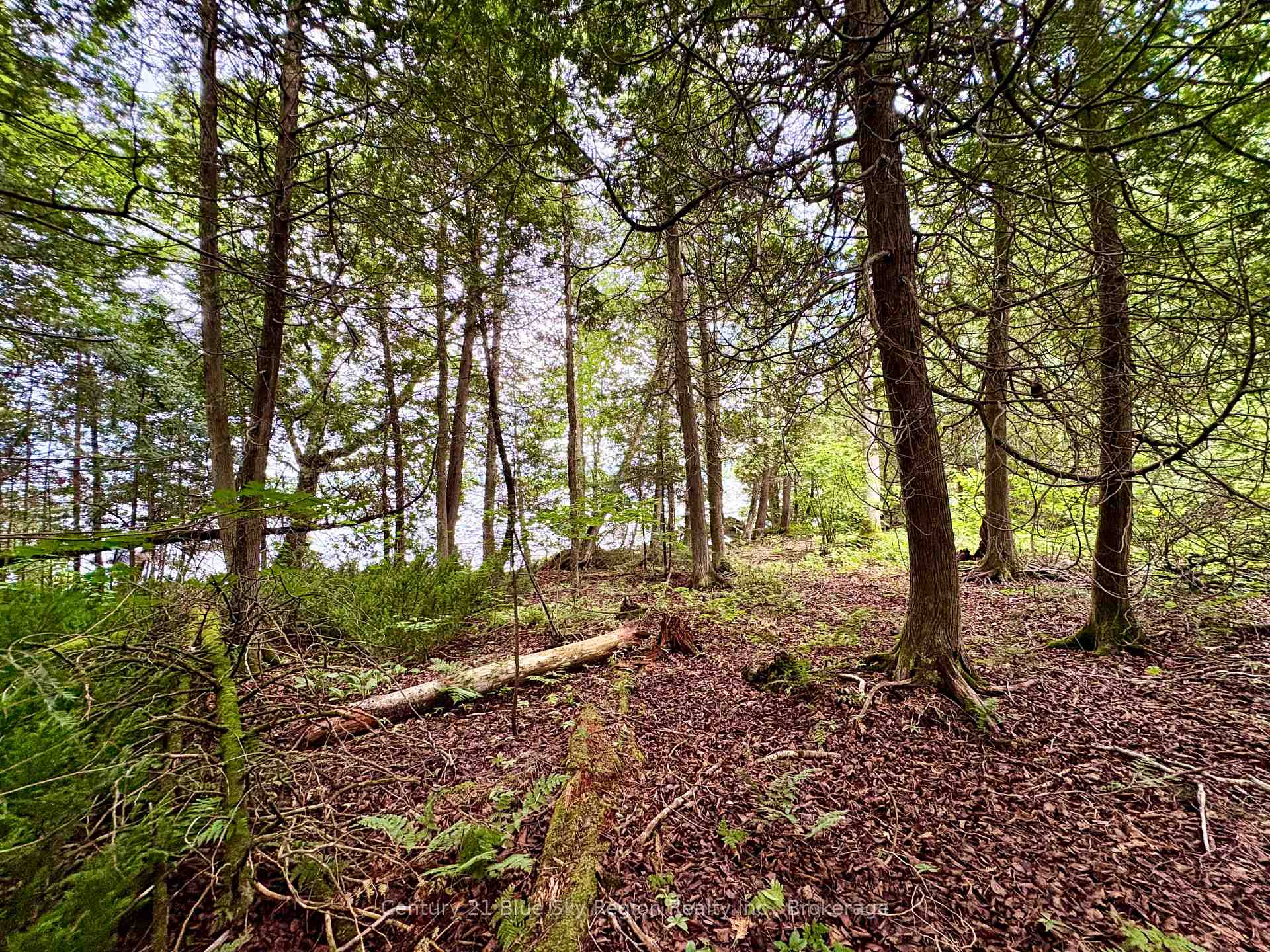 Photo 7 of PCL BLOCK C-1 Tomiko Road, West Nipissing, Crystal Falls — HOMEH