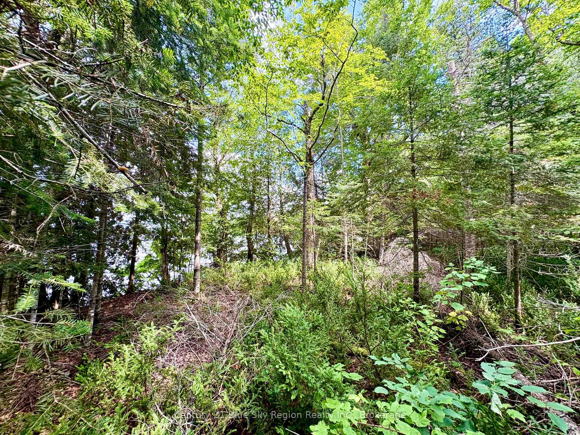 Photo 8 of PCL BLOCK C-1 Tomiko Road, West Nipissing, Crystal Falls — HOMEH