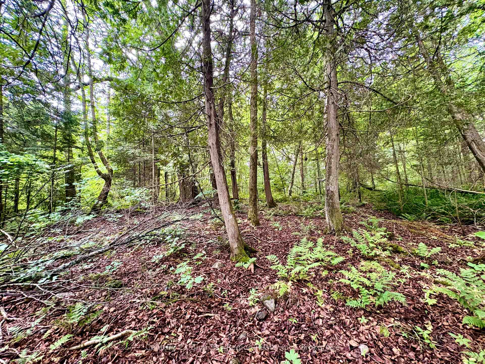 Photo 10 of PCL BLOCK C-1 Tomiko Road, West Nipissing, Crystal Falls — HOMEH