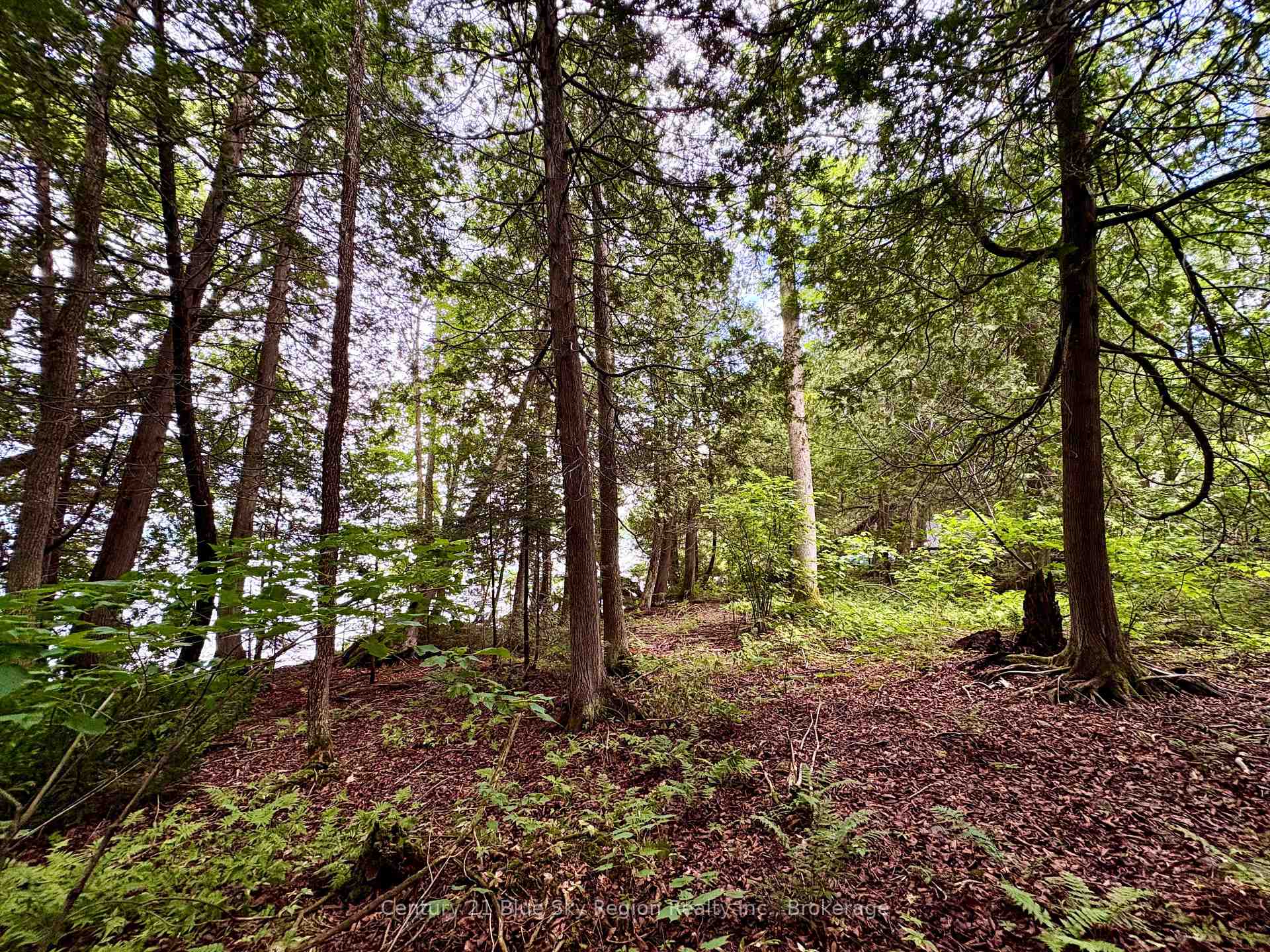 Photo 11 of PCL BLOCK C-1 Tomiko Road, West Nipissing, Crystal Falls — HOMEH