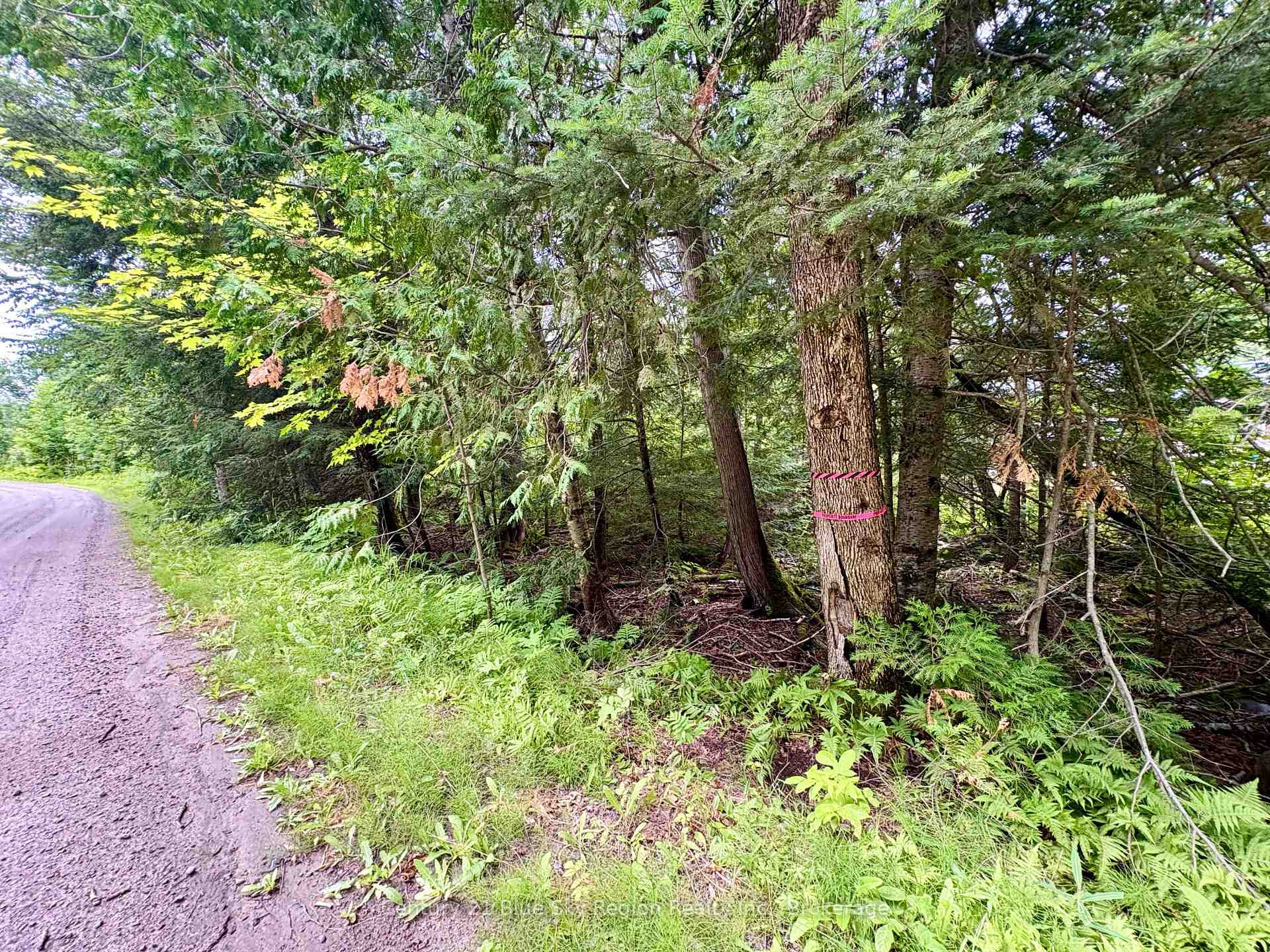 Photo 12 of PCL BLOCK C-1 Tomiko Road, West Nipissing, Crystal Falls — HOMEH