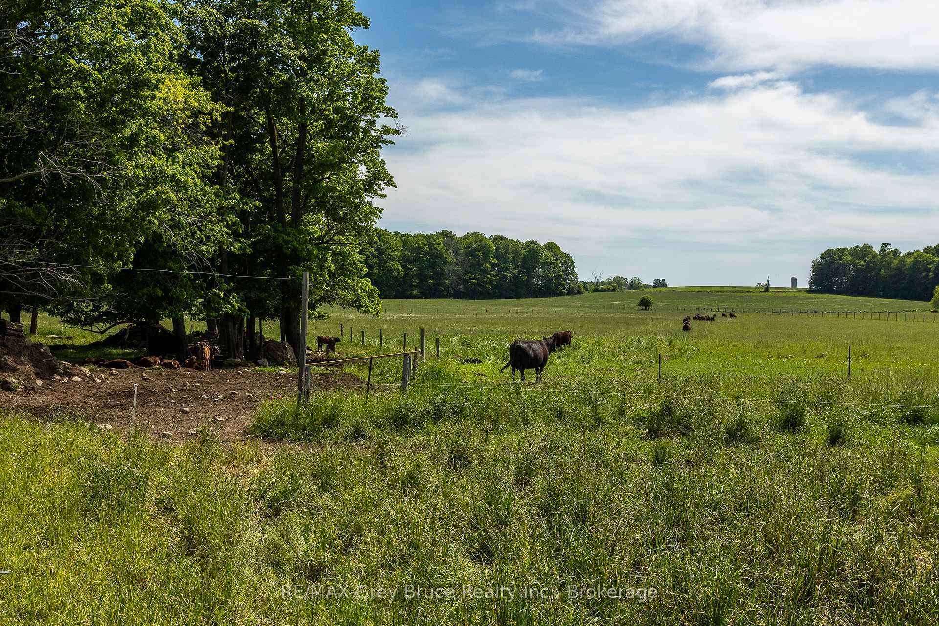 Photo 43 of 122152 Sideroad 12, Georgian Bluffs — HOMEH
