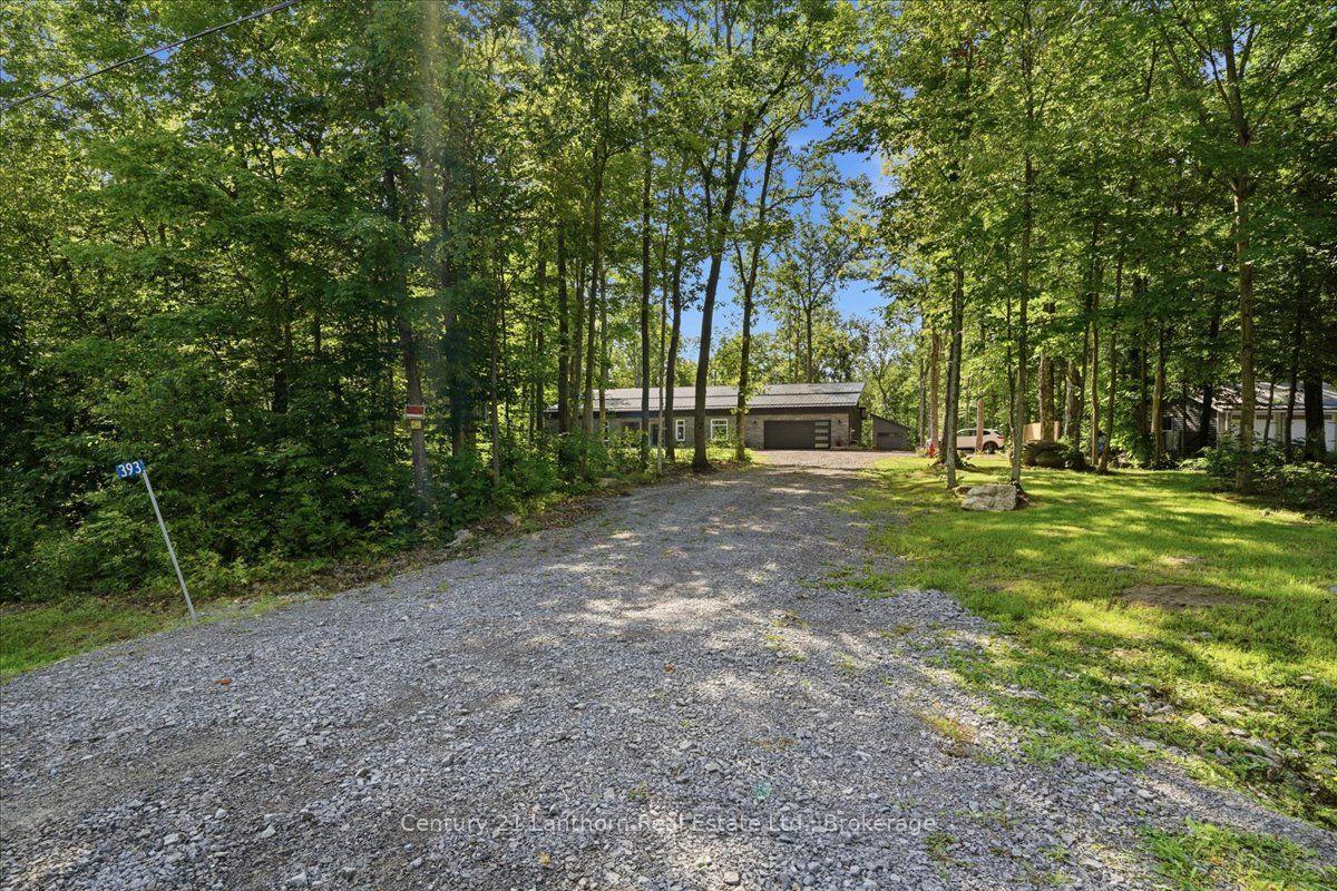 Photo of 393 Wood Road
