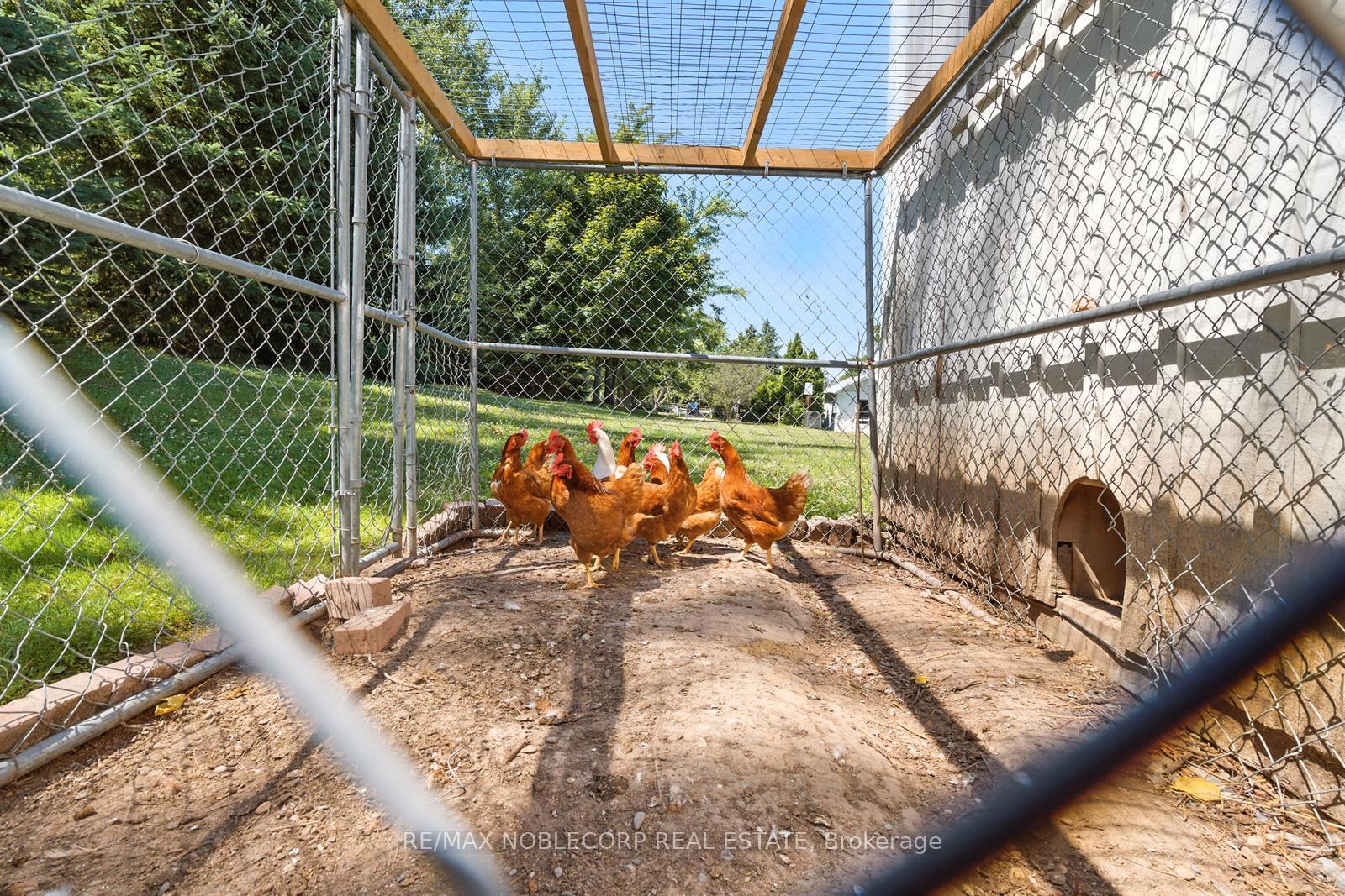 Photo 44 of 2037 15th Side Road, New Tecumseth, Tottenham — HOMEH
