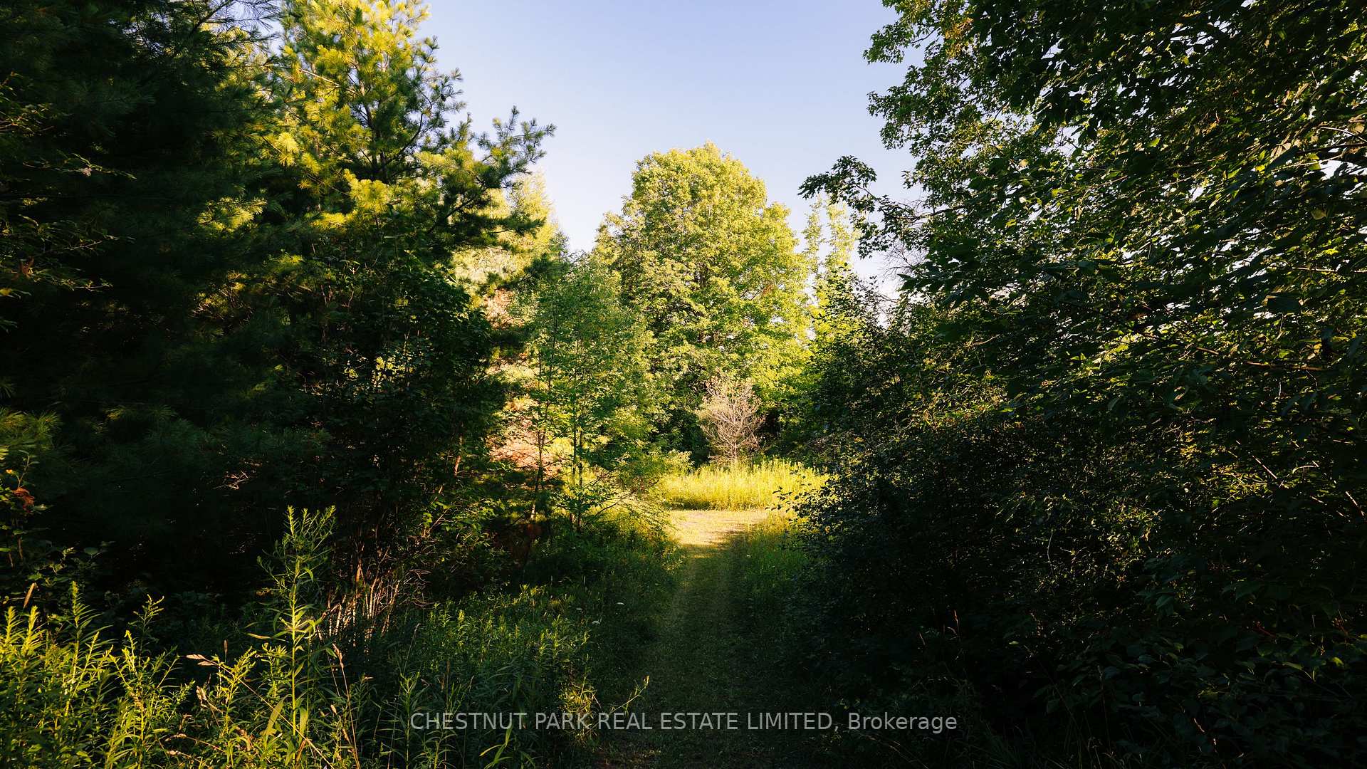 Photo 42 of 5241 Tenth Line, Erin, Rural Erin — HOMEH