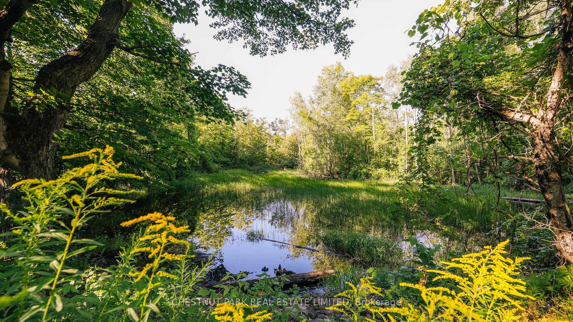 Photo 43 of 5241 Tenth Line, Erin, Rural Erin — HOMEH