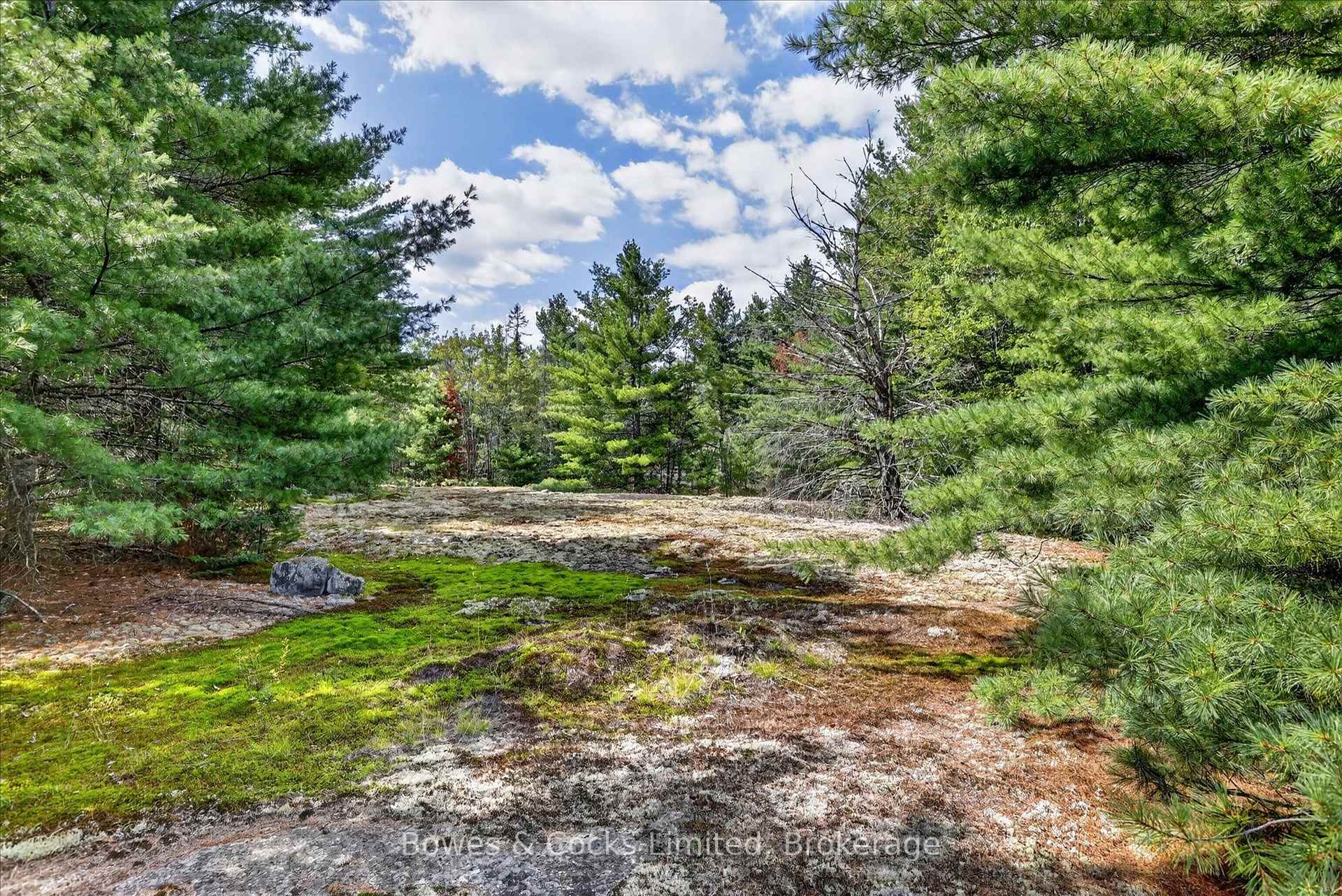 Photo 40 of 1244 Vick Road, Minden Hills, Snowdon — HOMEH
