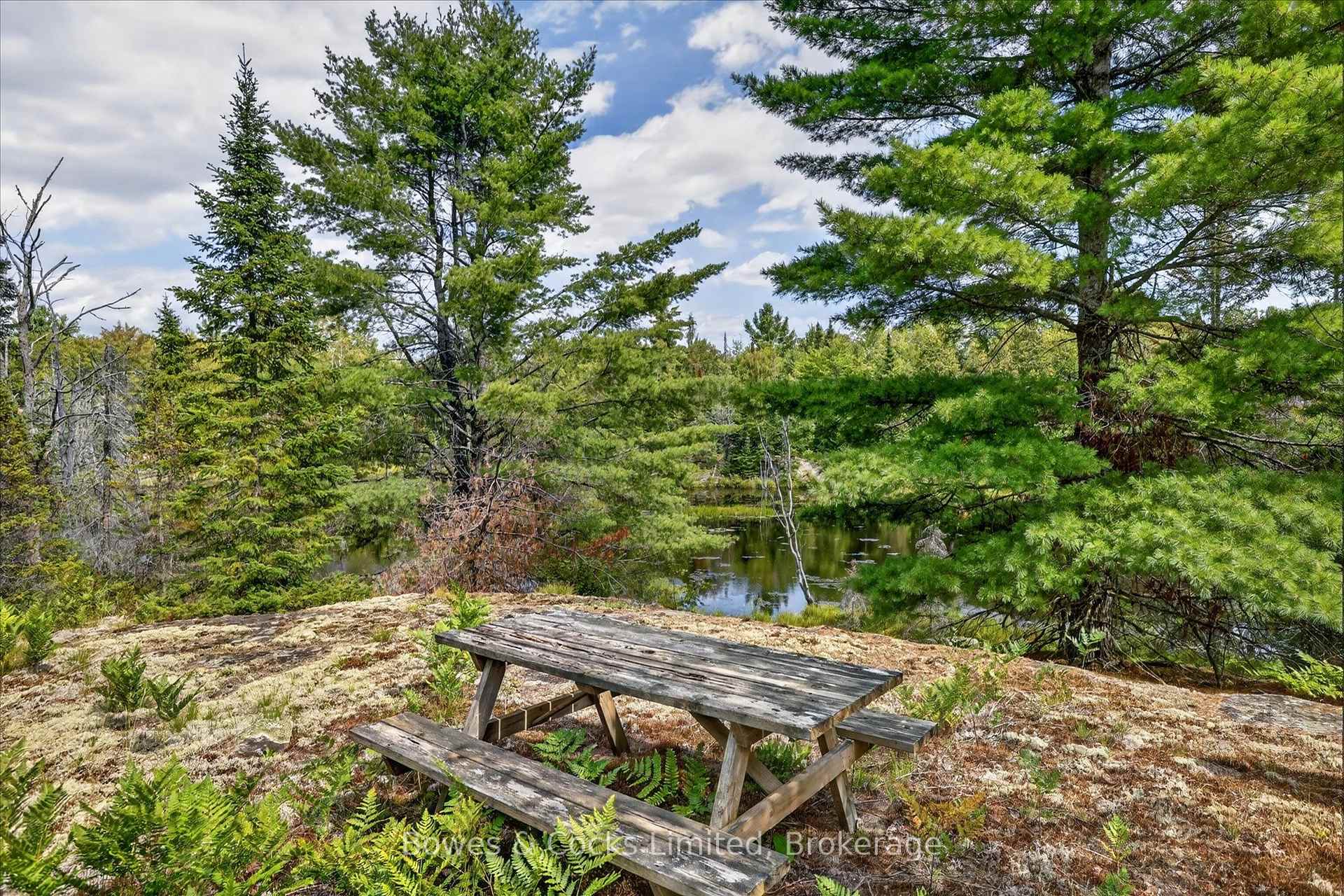 Photo 41 of 1244 Vick Road, Minden Hills, Snowdon — HOMEH