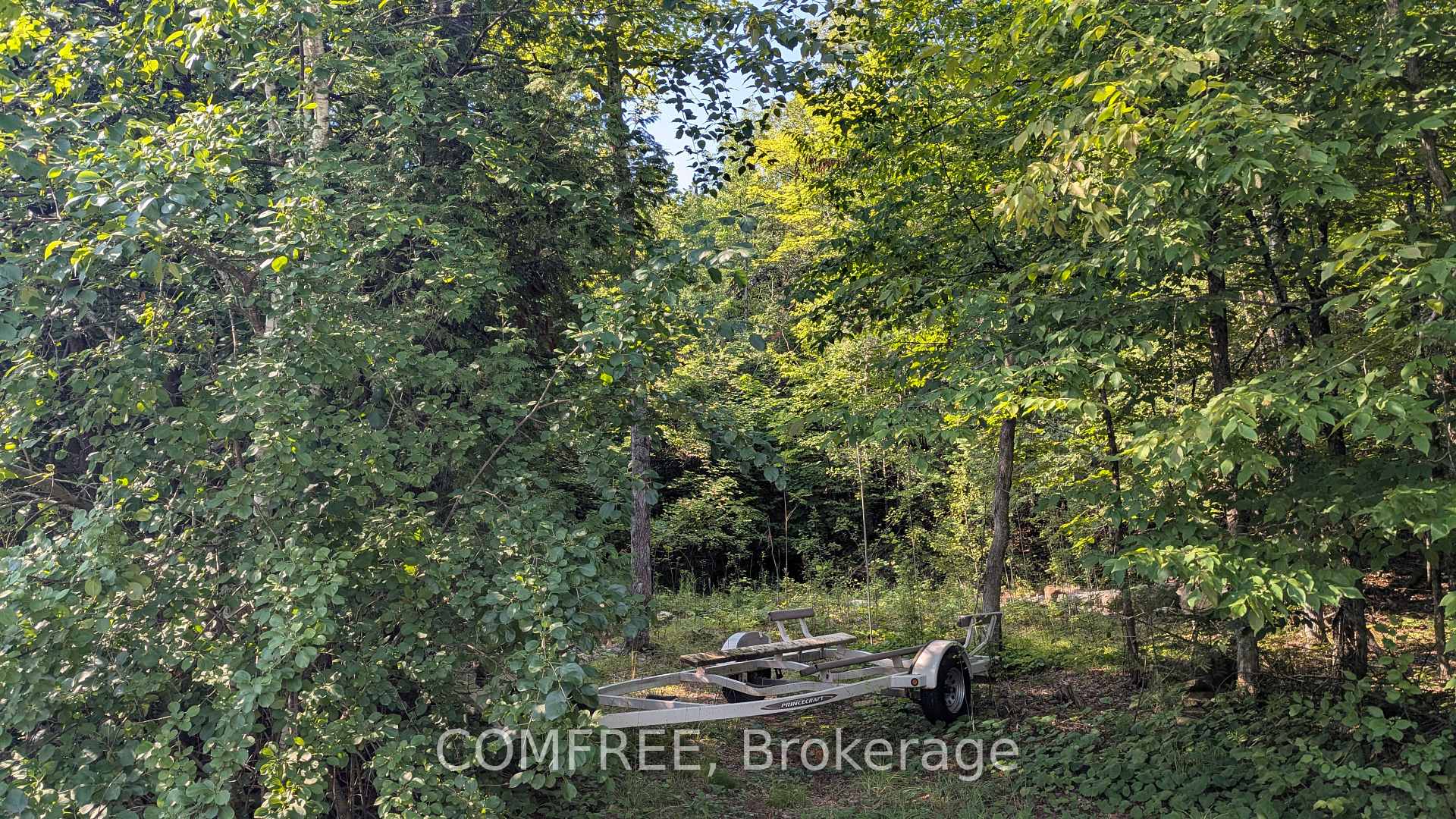 Photo of 4859 Opeongo Road