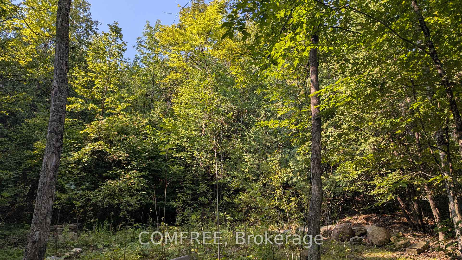 Photo 3 of 4859 Opeongo Road, Ottawa, Woodlawn/Maclarens Landing/Kilmaurs — HOMEH