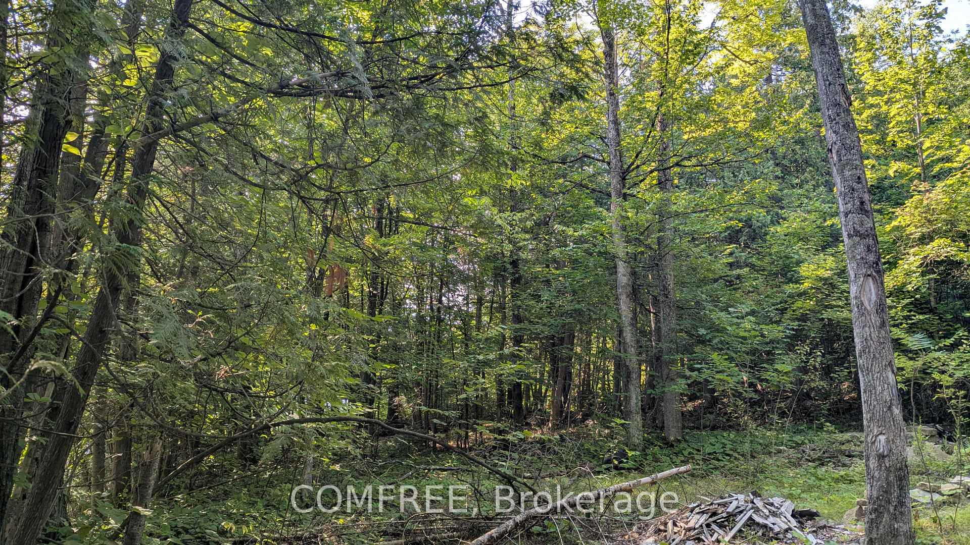 Photo 4 of 4859 Opeongo Road, Ottawa, Woodlawn/Maclarens Landing/Kilmaurs — HOMEH