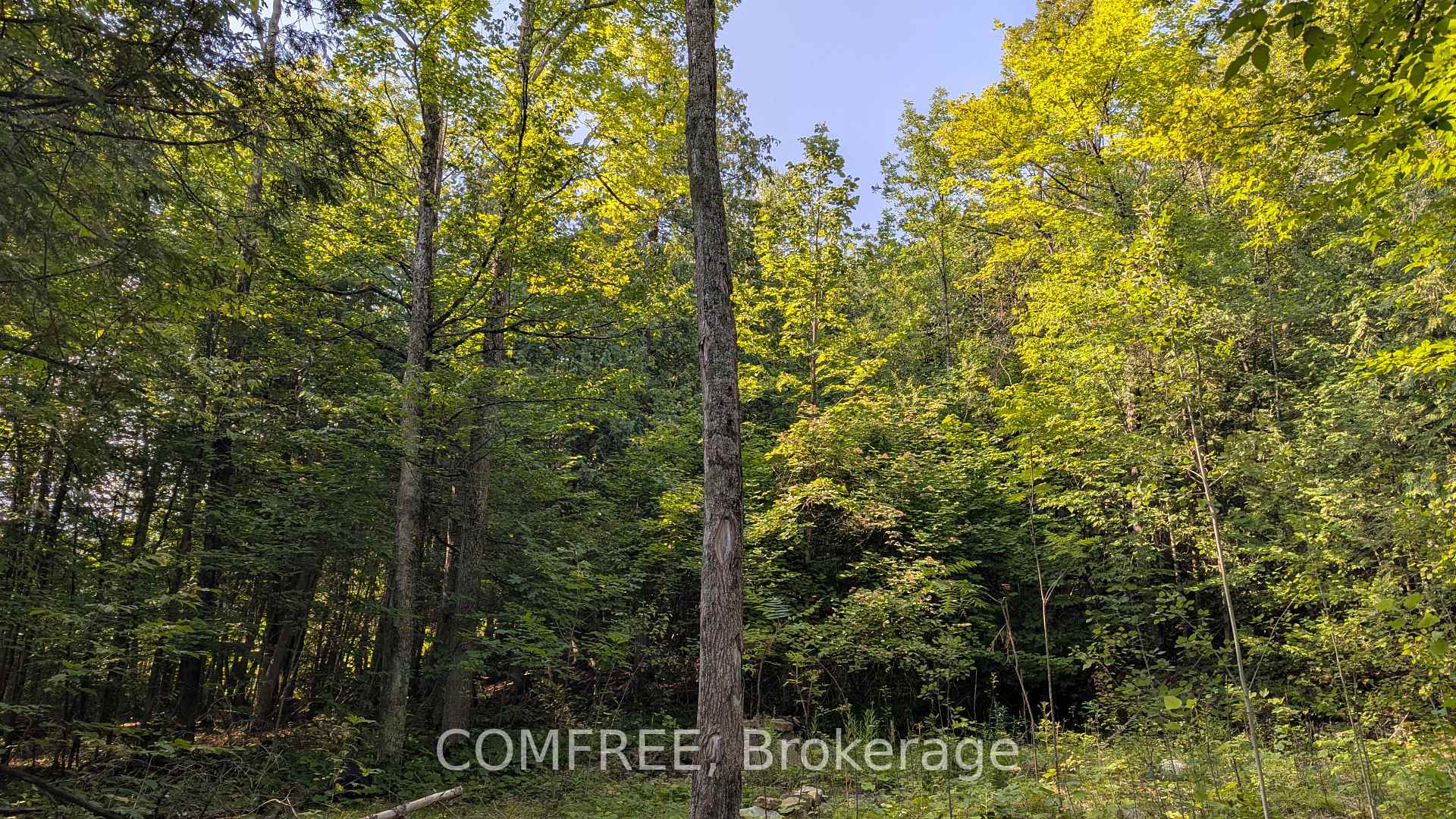 Photo 5 of 4859 Opeongo Road, Ottawa, Woodlawn/Maclarens Landing/Kilmaurs — HOMEH