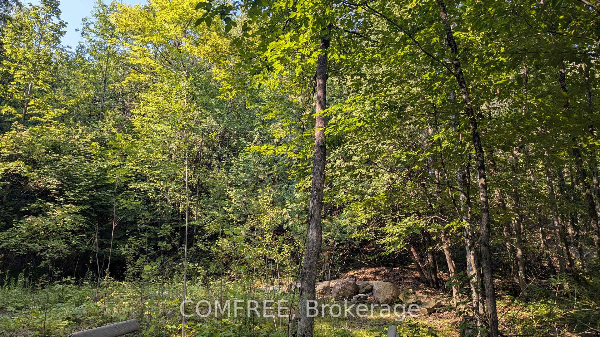 Photo 6 of 4859 Opeongo Road, Ottawa, Woodlawn/Maclarens Landing/Kilmaurs — HOMEH