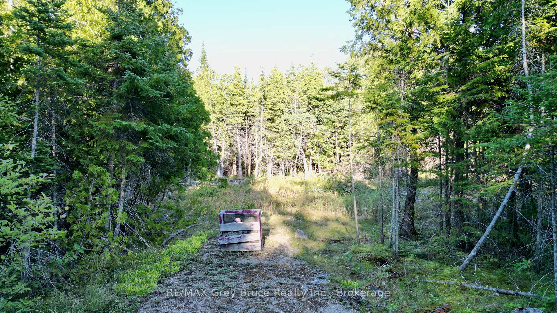 Photo 4 of 8 Devils Glen, Northern Bruce Peninsula — HOMEH